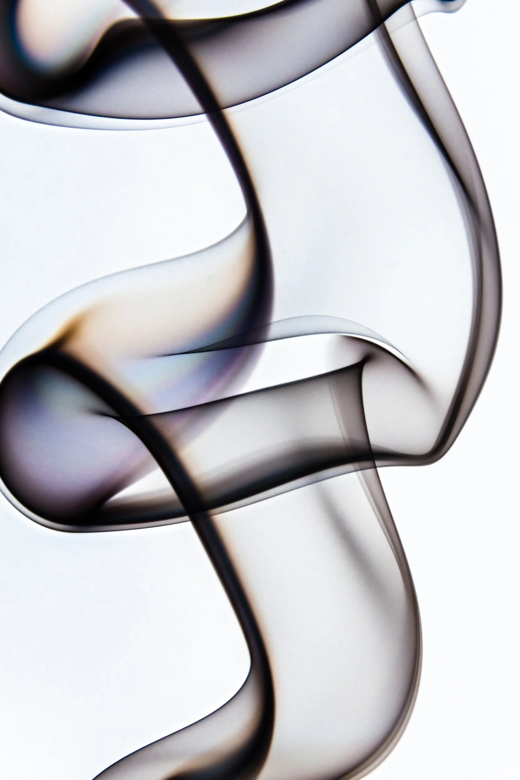 volatil-branca-macrofotografia-fine-art-11.jpg