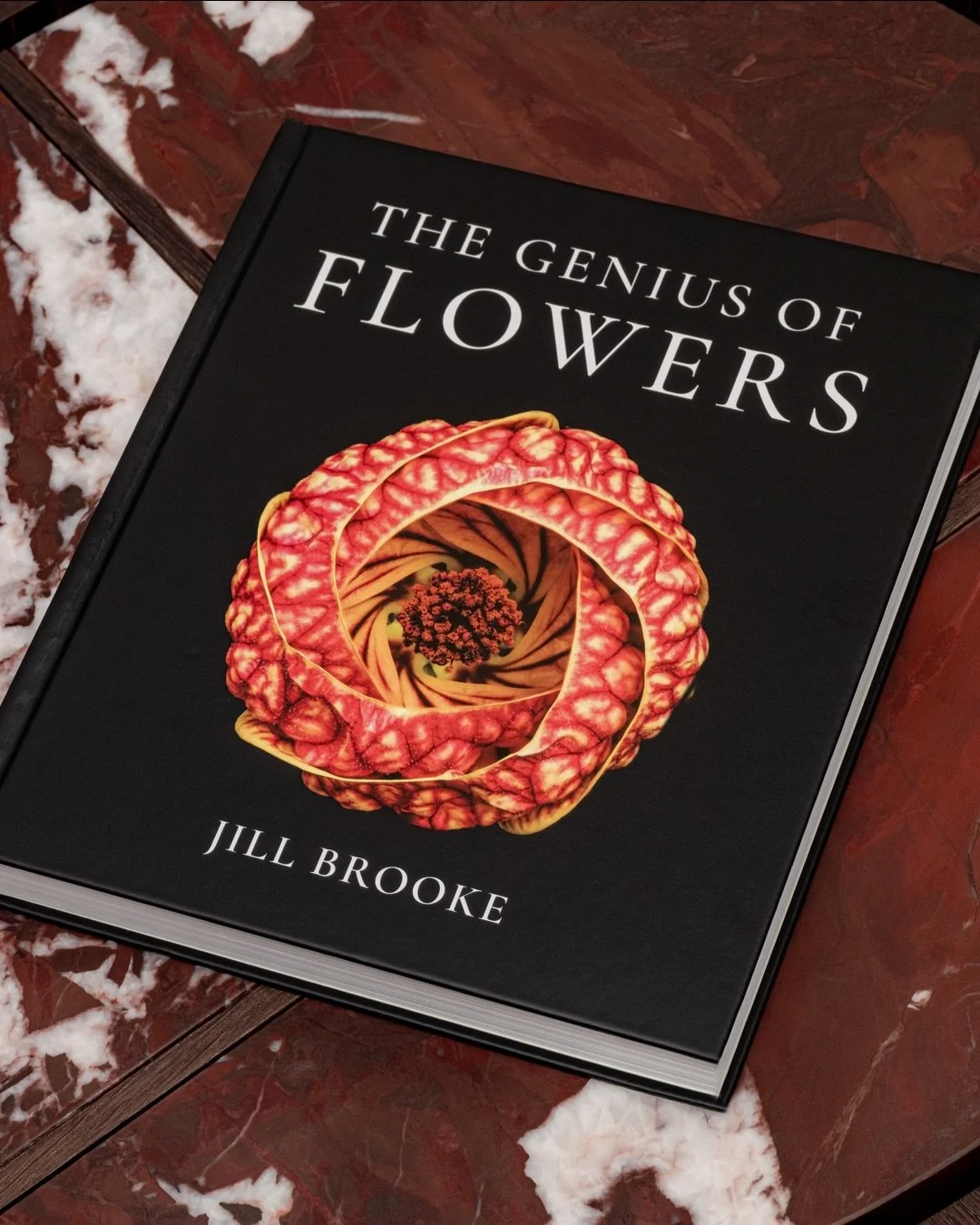 Em novembro de 2025 recebi um e-mail de Nova York perguntando se uma foto minha era real.

Era Jill Brooke, diretora editorial do Flower Power Daily, fechando a capa de seu livro. Ela precisava confirmar que a imagem n&atilde;o tinha sido gerada por 