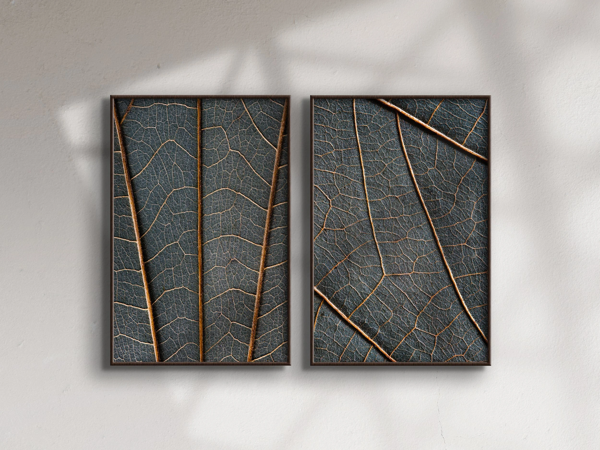 Two framed artworks of dark, detailed leaf skeletons with orange veins on white wall.