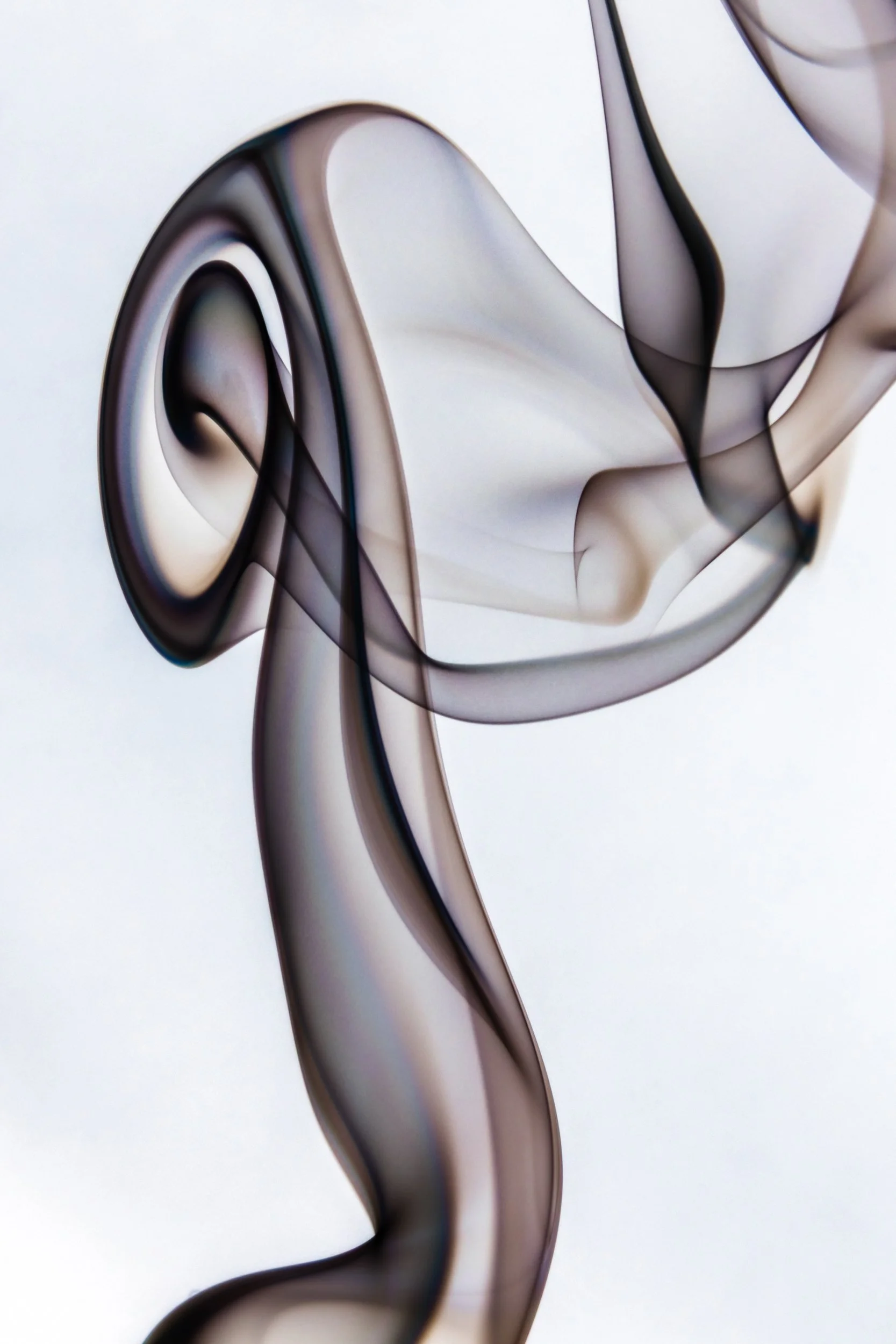 volatil-branca-macrofotografia-fine-art-5.jpg