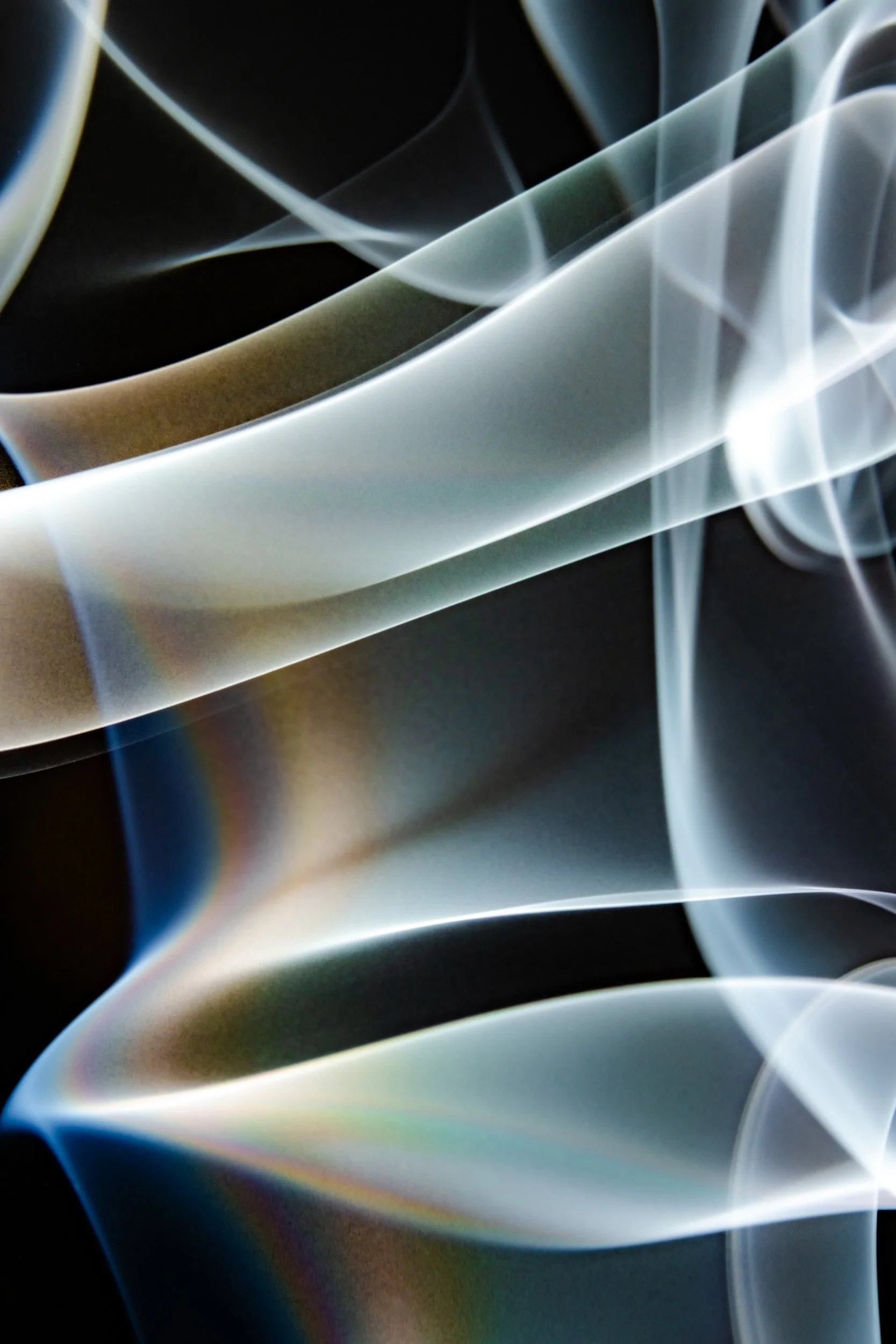 volatil-preta-macrofotografia-fine-art-1.jpg