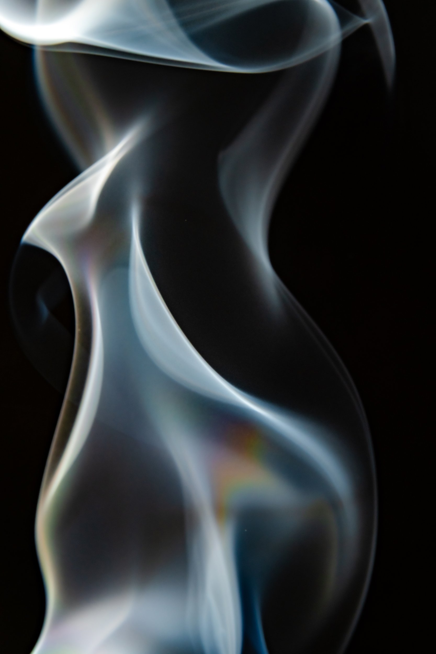 volatil-preta-macrofotografia-fine-art-7.jpg