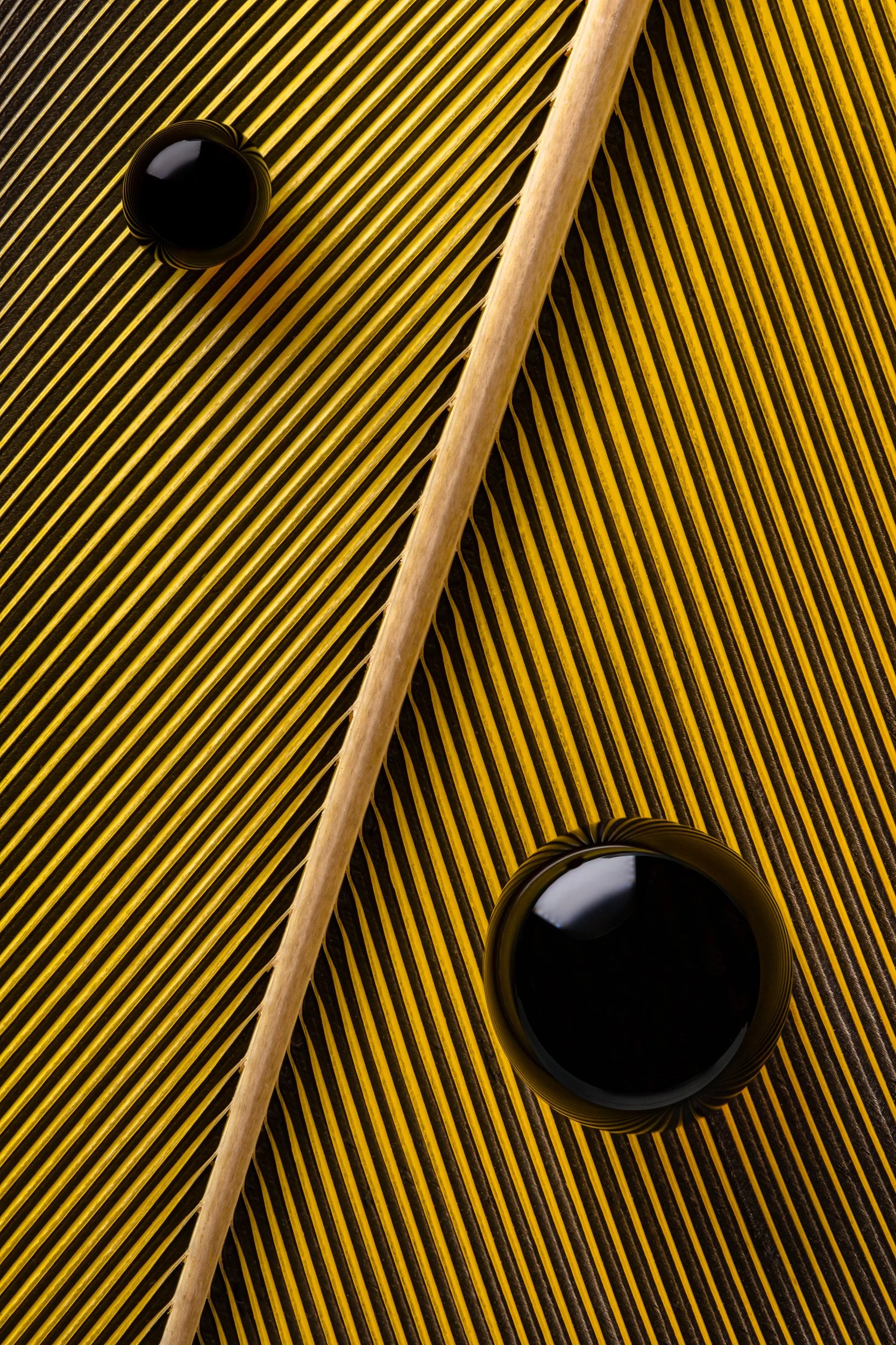 hidrofobico-penas-macrofotografia-fine-art-6.jpg