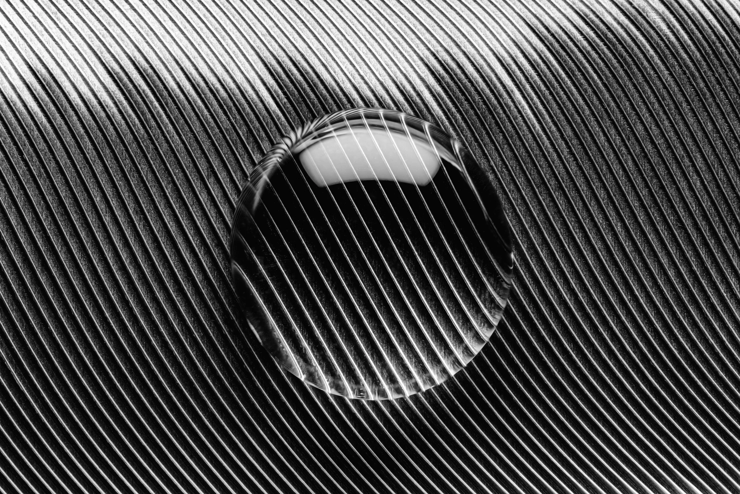 hidrofobico-penas-macrofotografia-fine-art-17.jpg