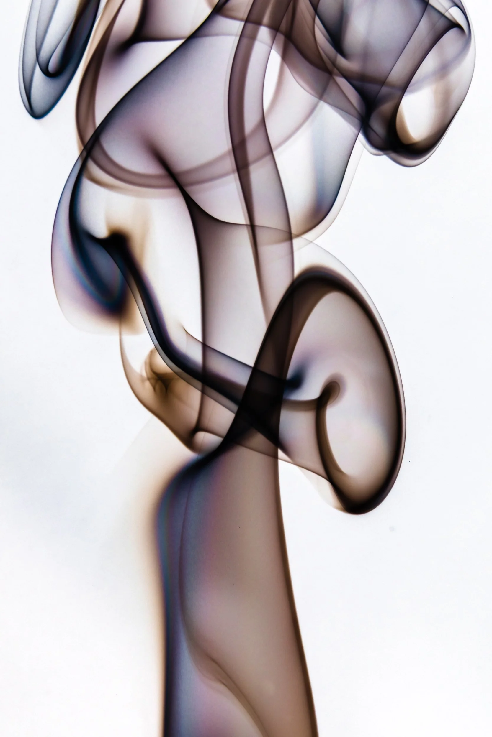 volatil-branca-macrofotografia-fine-art-4.jpg