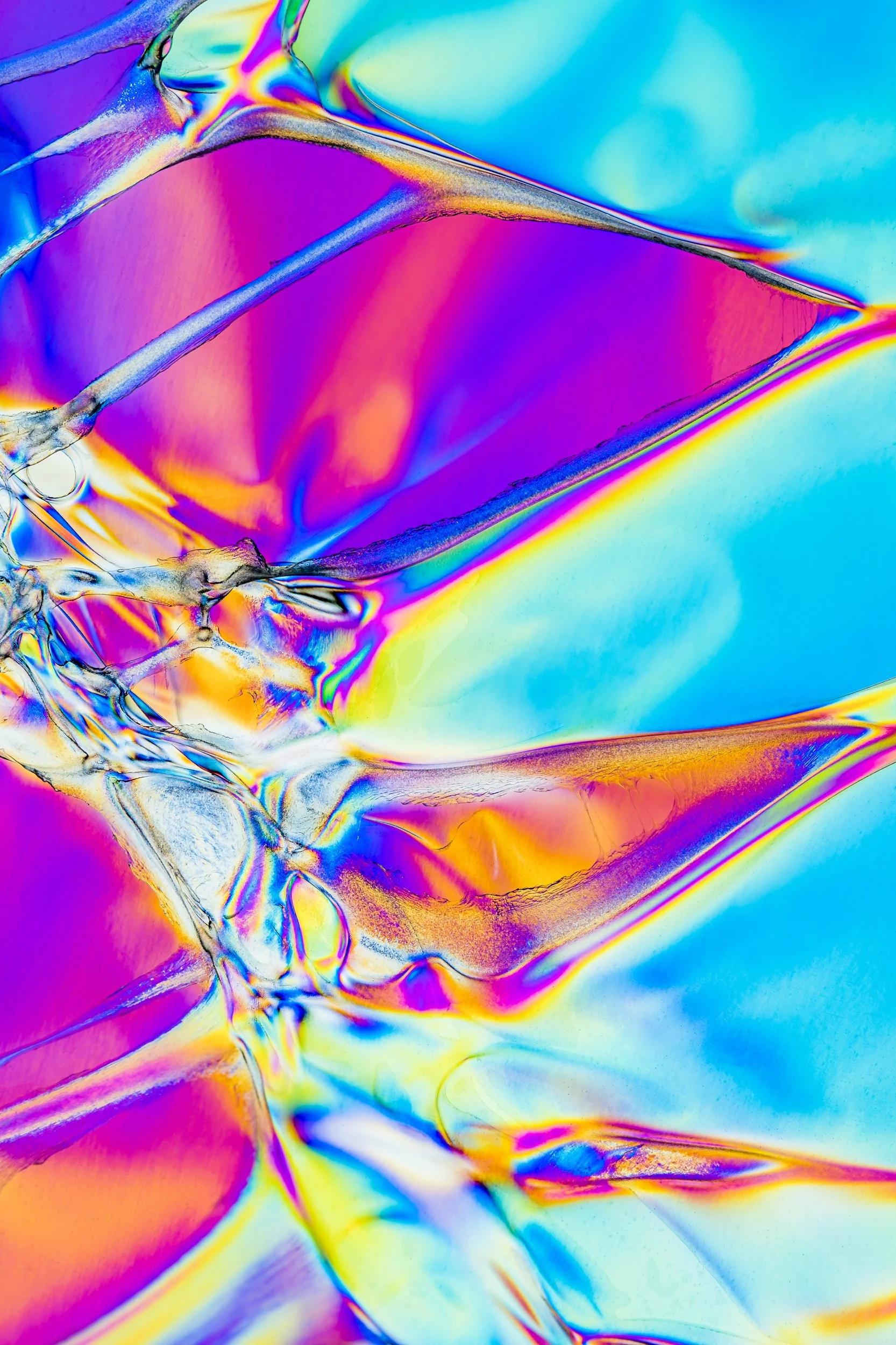 chromatic-polarized-macrofotografia-fine-art-6.jpg