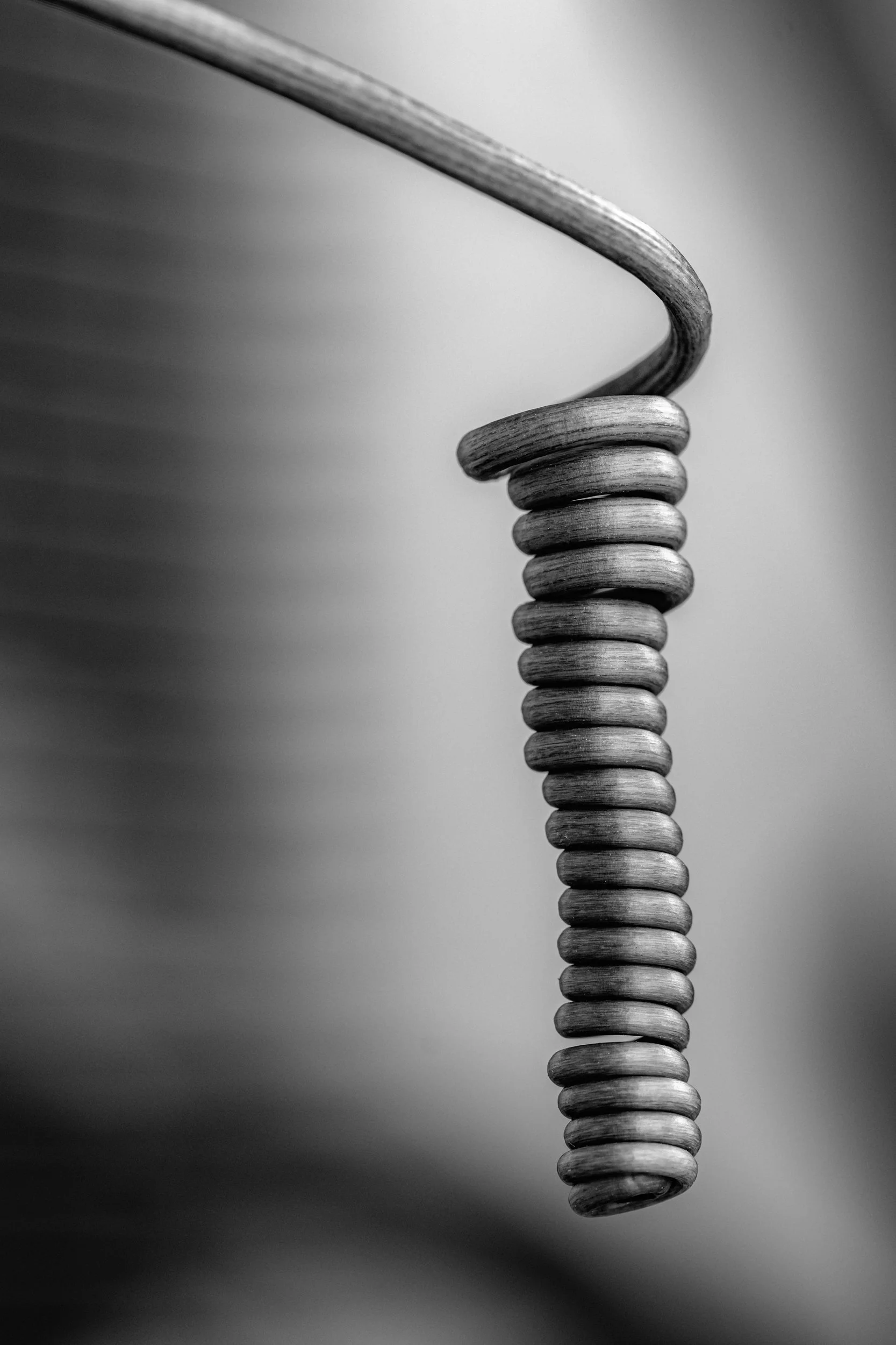 maracuja-natureza-macrofotografia-obras-fine-art-7.jpg