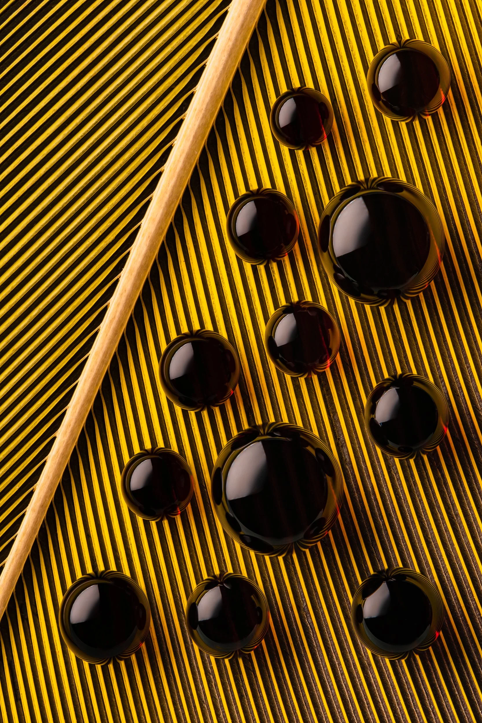 hidrofobico-penas-macrofotografia-fine-art-7.jpg
