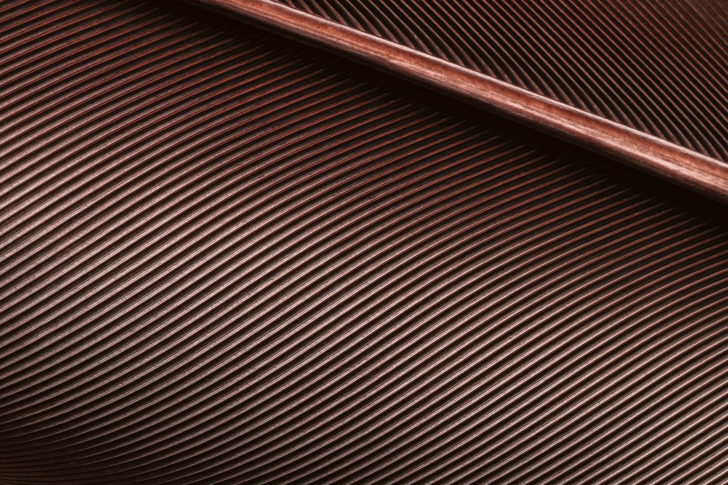 penas-nativas-macrofotografia-obras-fine-art-2.jpg