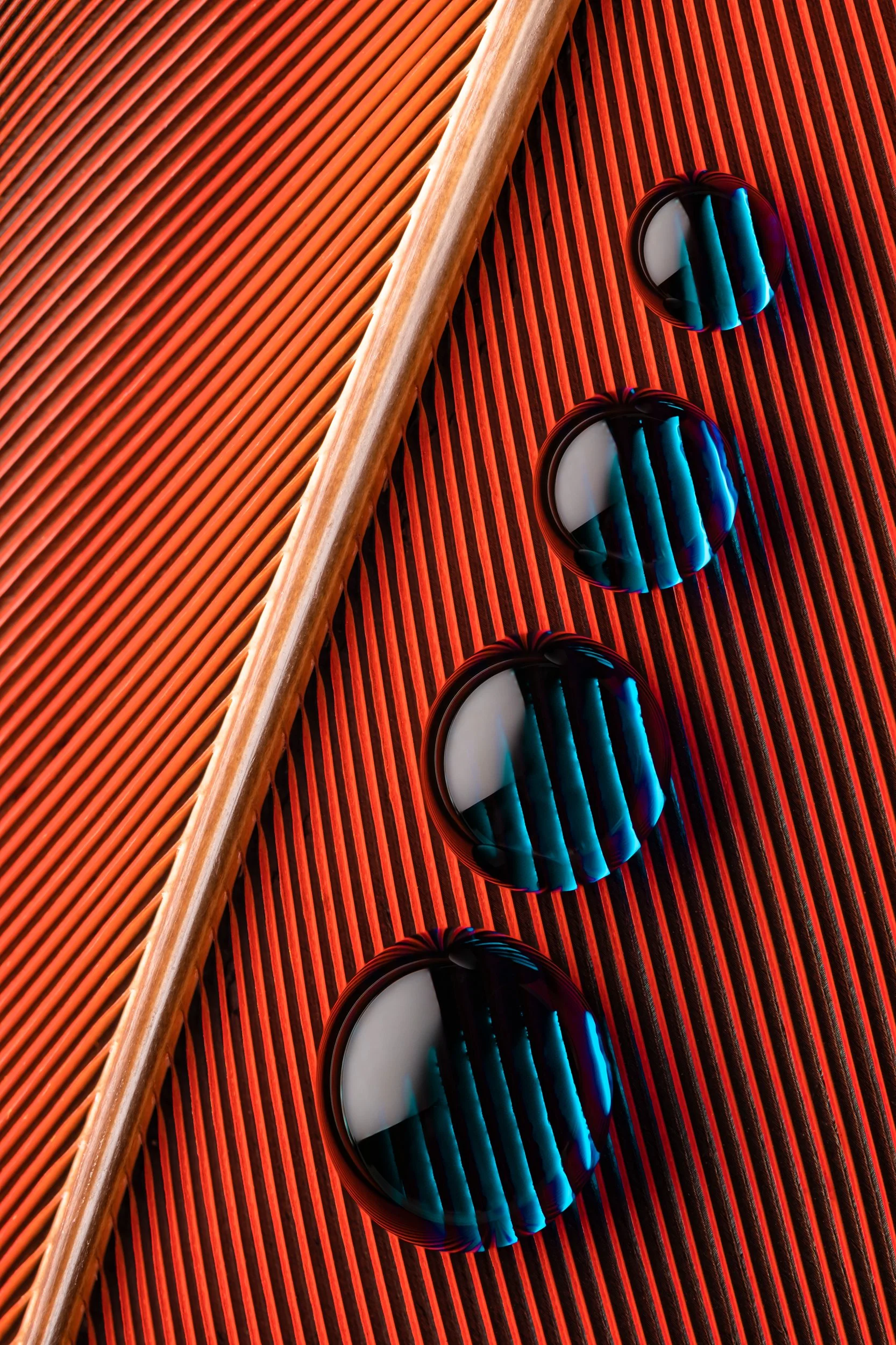 hidrofobico-penas-macrofotografia-fine-art-8.jpg