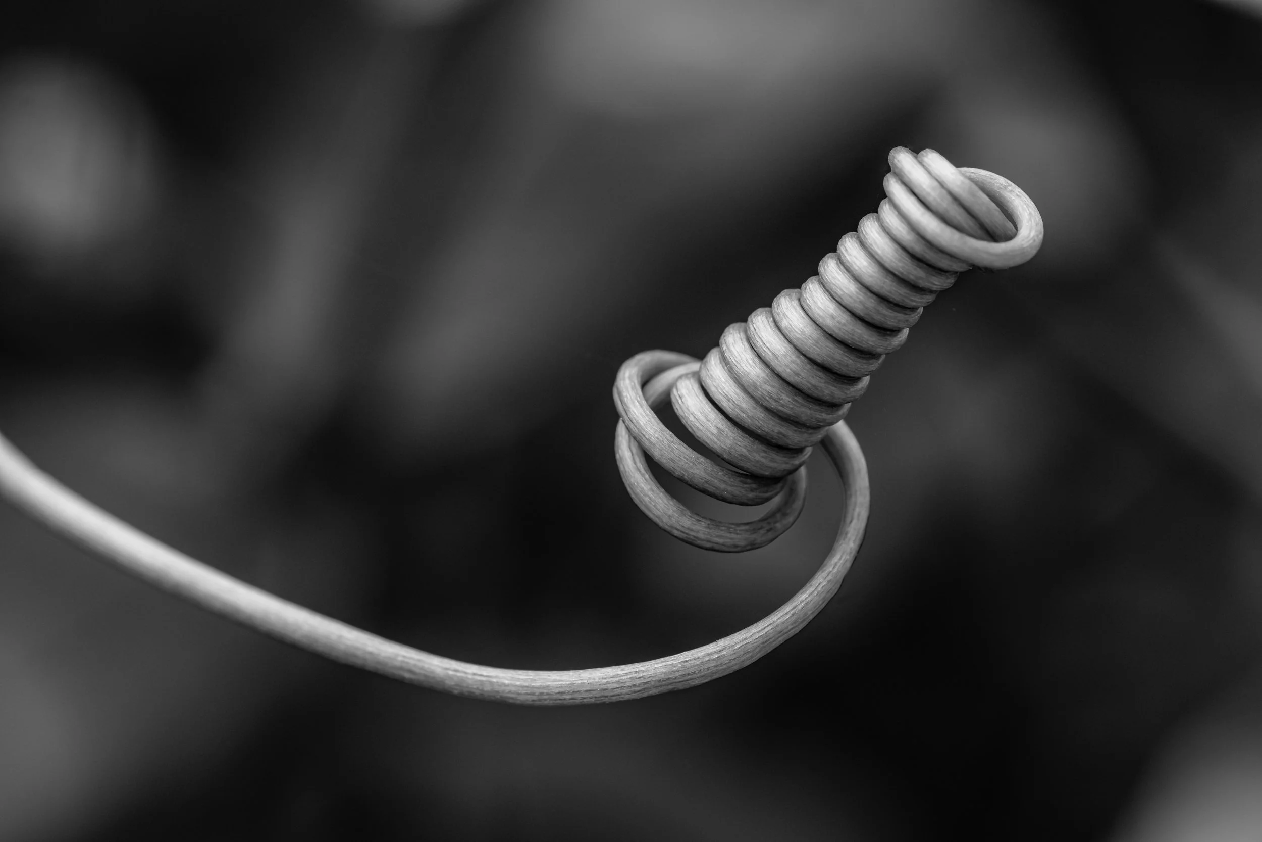 maracuja-natureza-macrofotografia-obras-fine-art-15.jpg