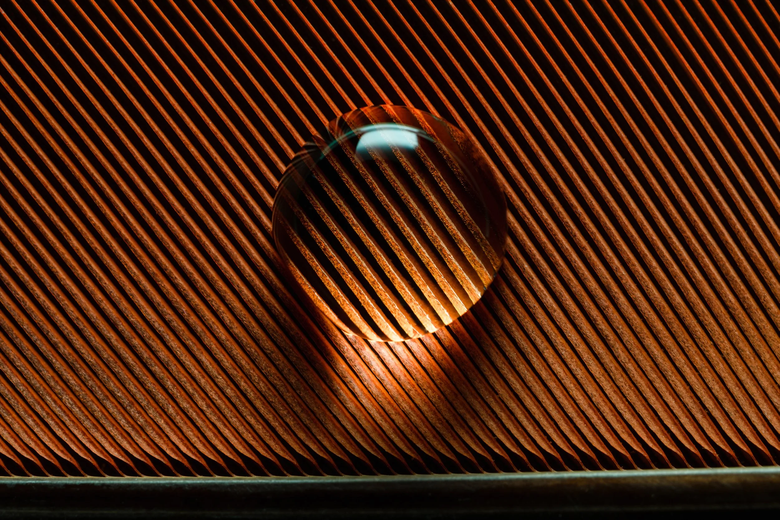 hidrofobico-penas-macrofotografia-fine-art-22.jpg