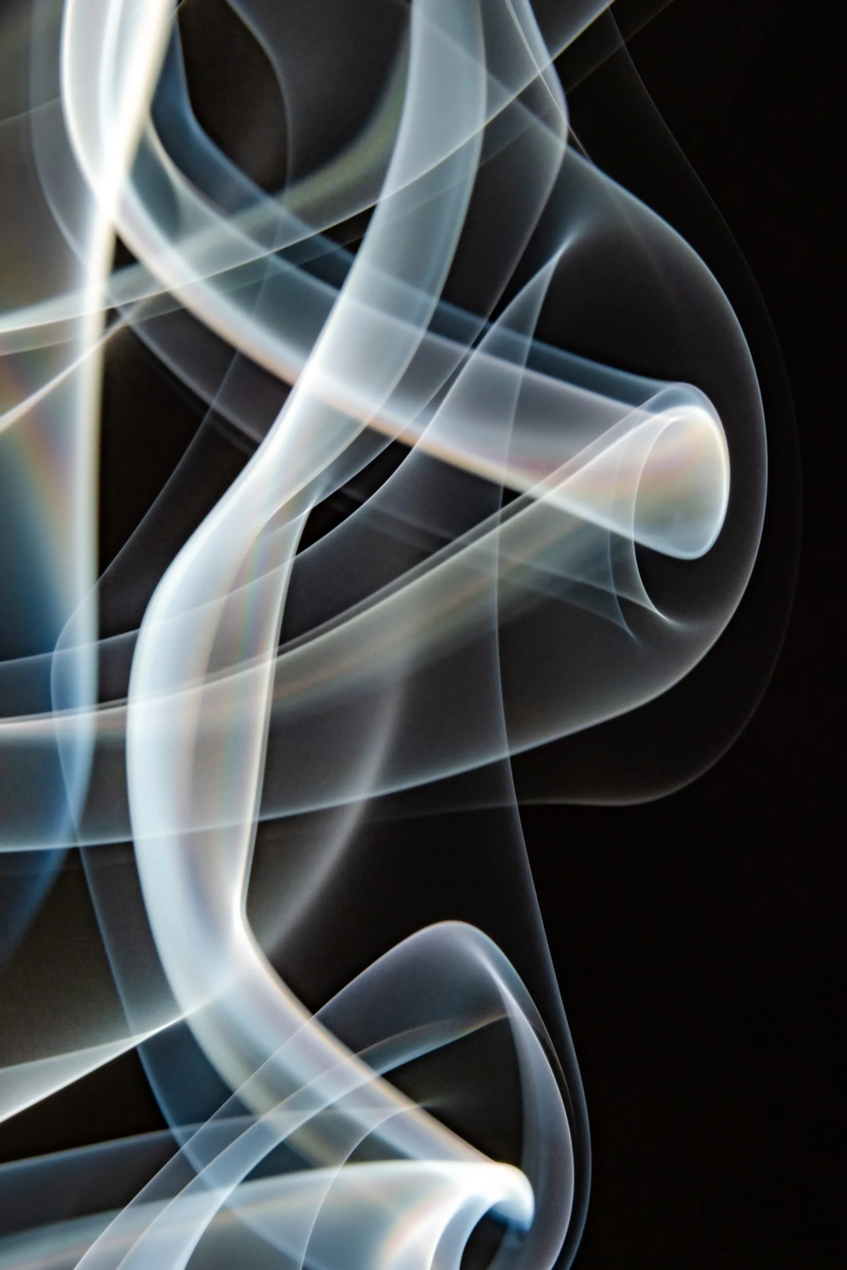 volatil-preta-macrofotografia-fine-art-8.jpg