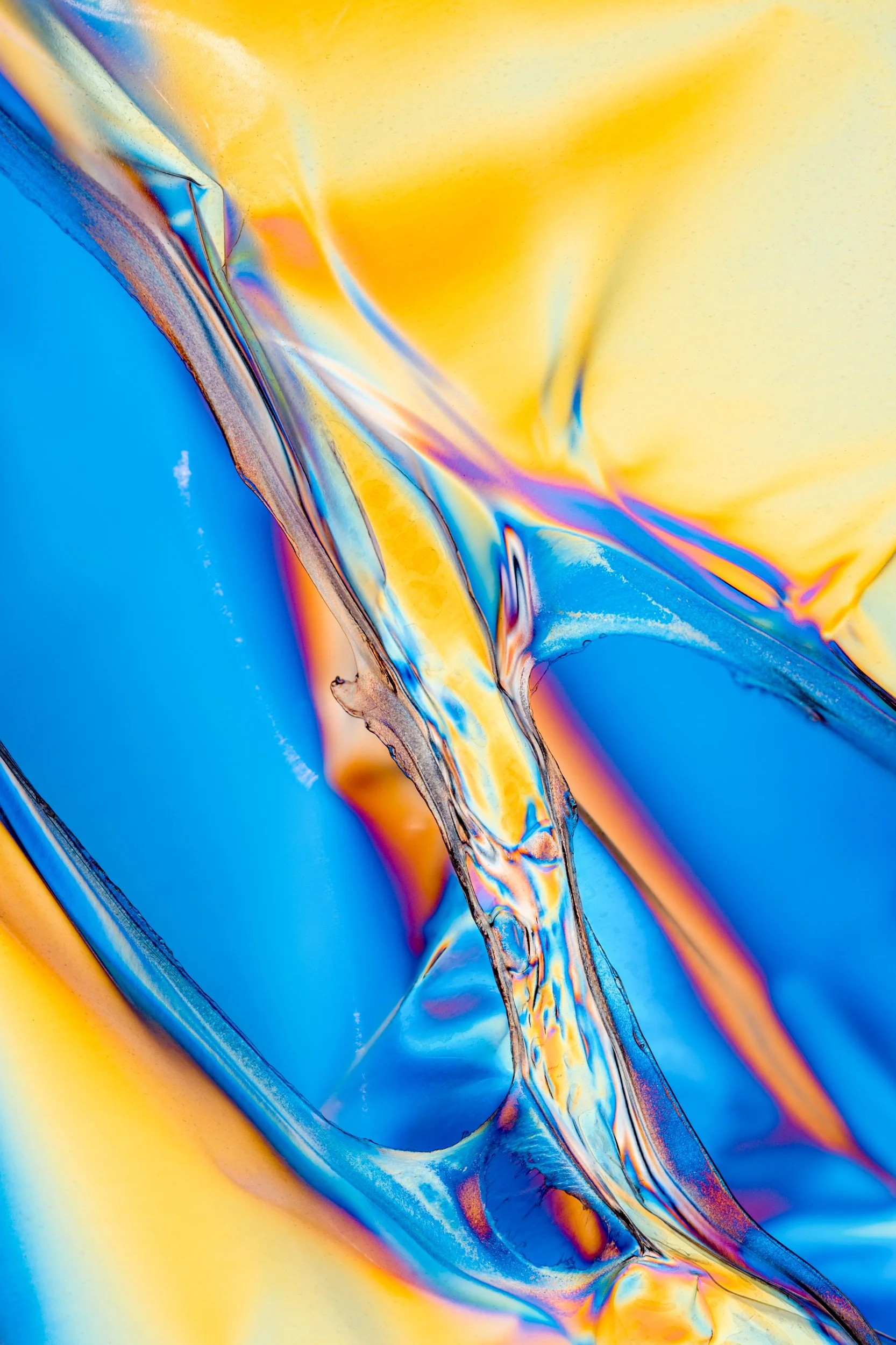 chromatic-polarized-macrofotografia-fine-art-7.jpg