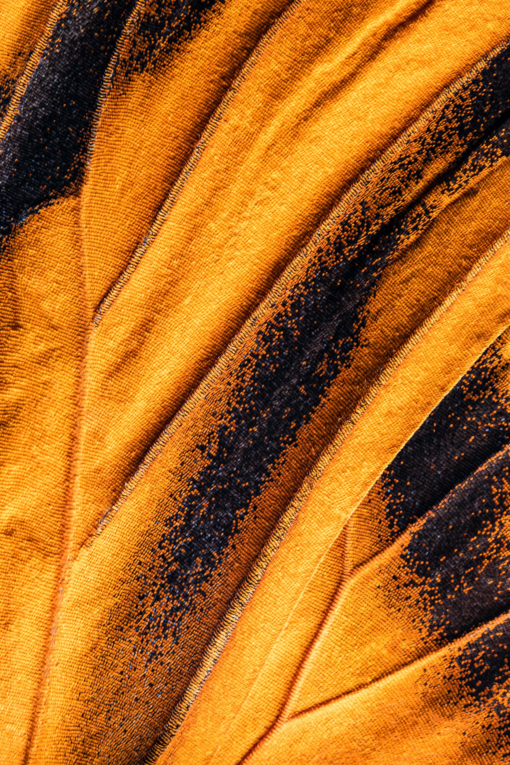 panapana-borboleta-macrofotografia-fine-art-3.jpg