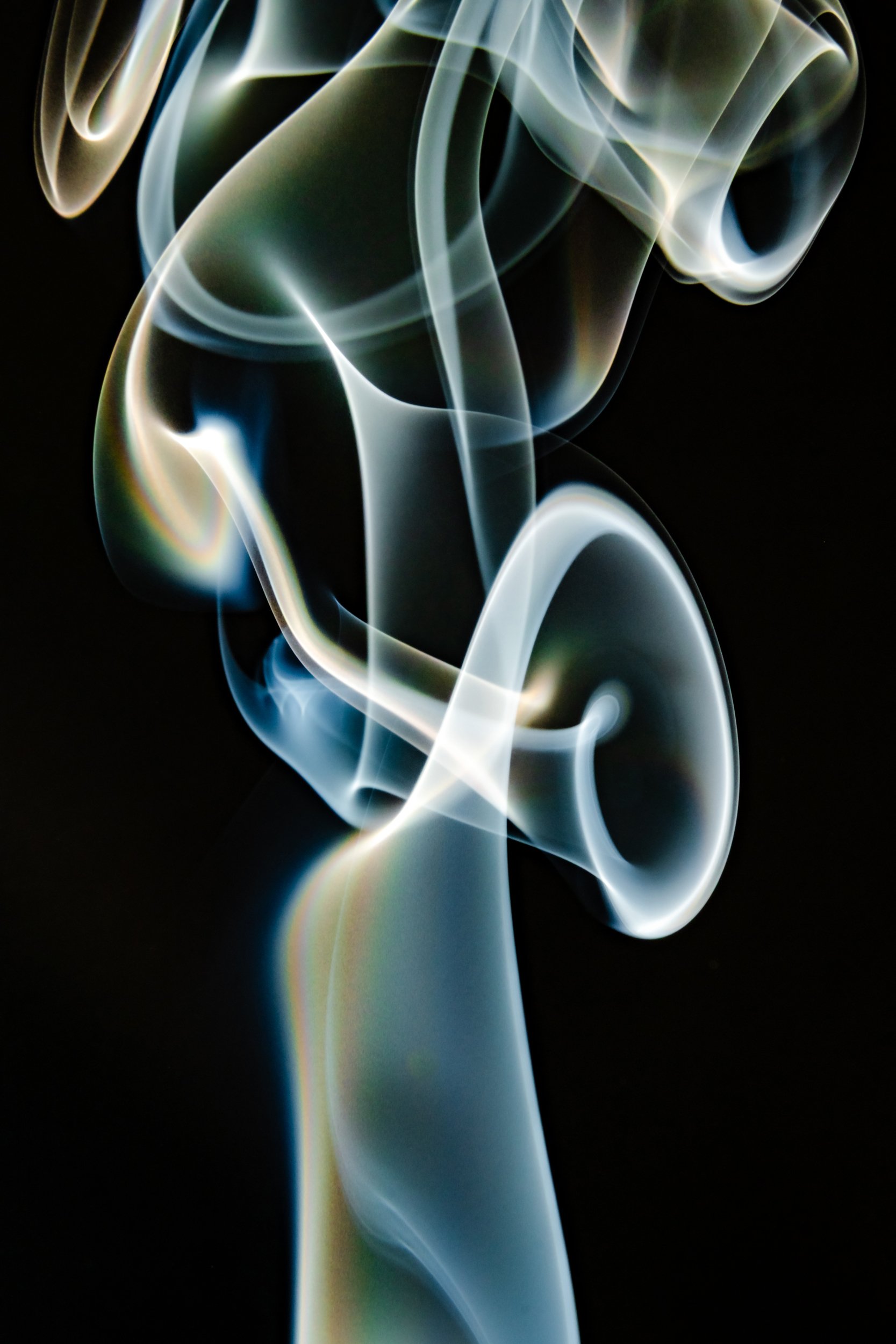 volatil-preta-macrofotografia-fine-art-4.jpg