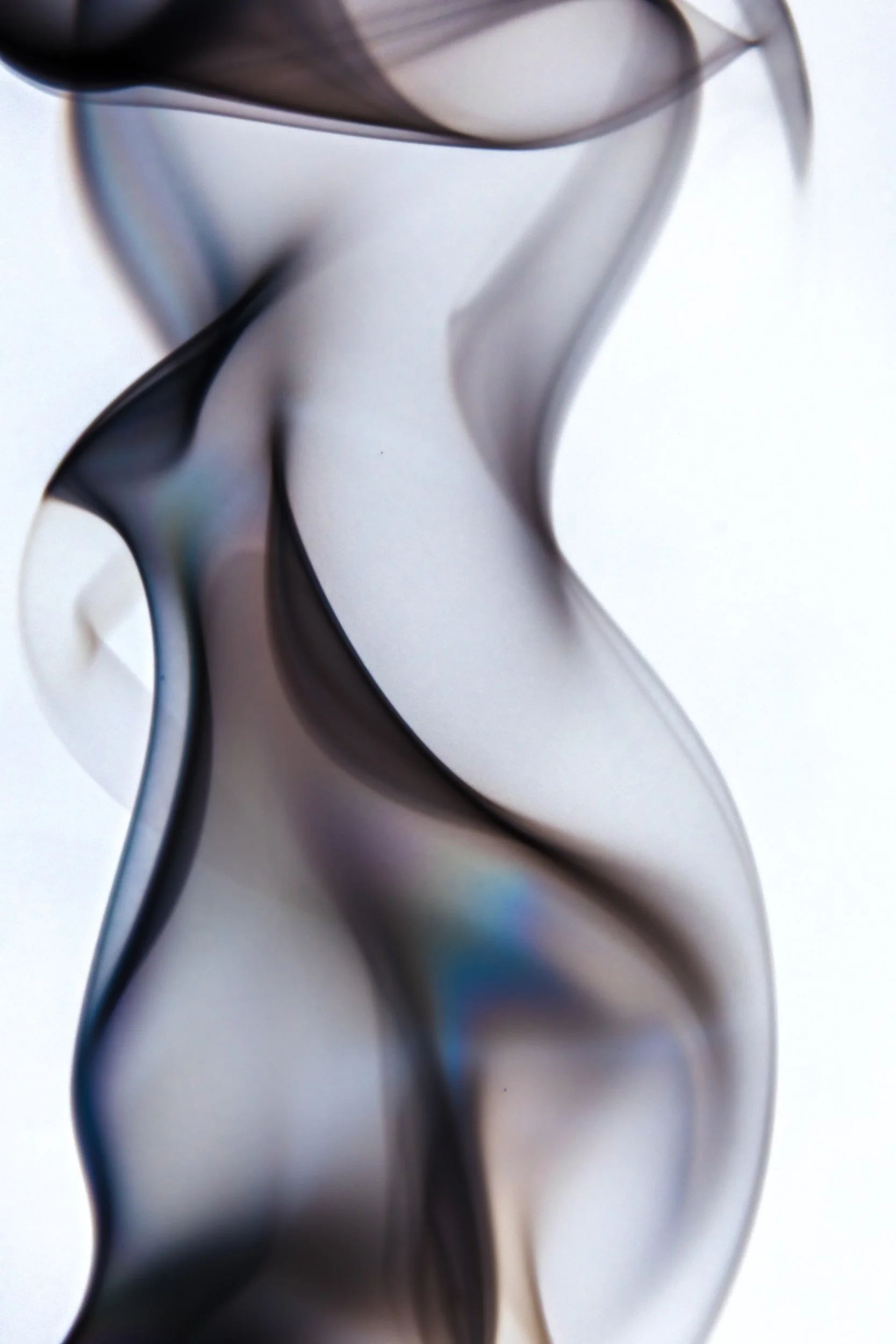 volatil-branca-macrofotografia-fine-art-7.jpg