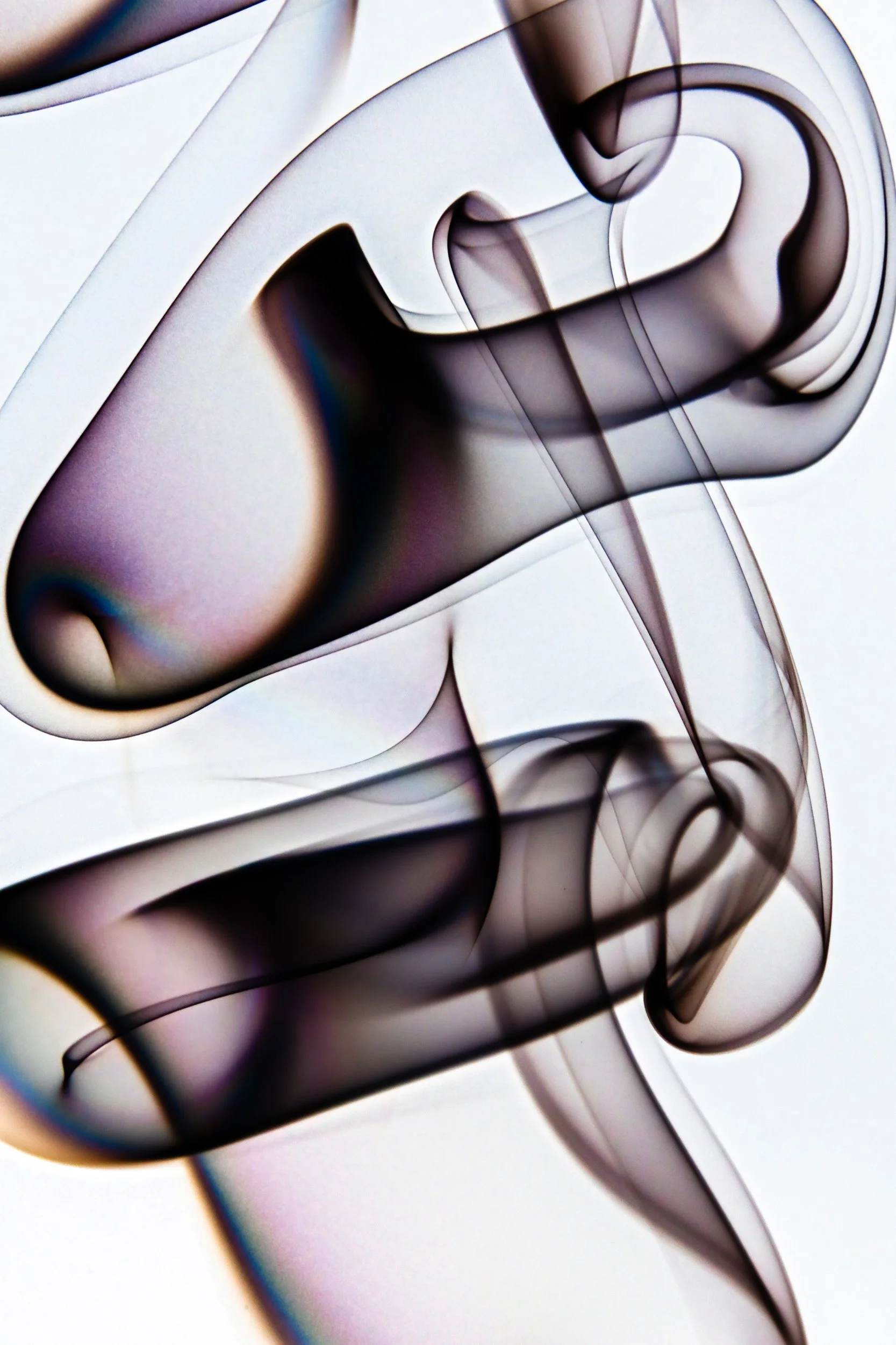 volatil-branca-macrofotografia-fine-art-12.jpg