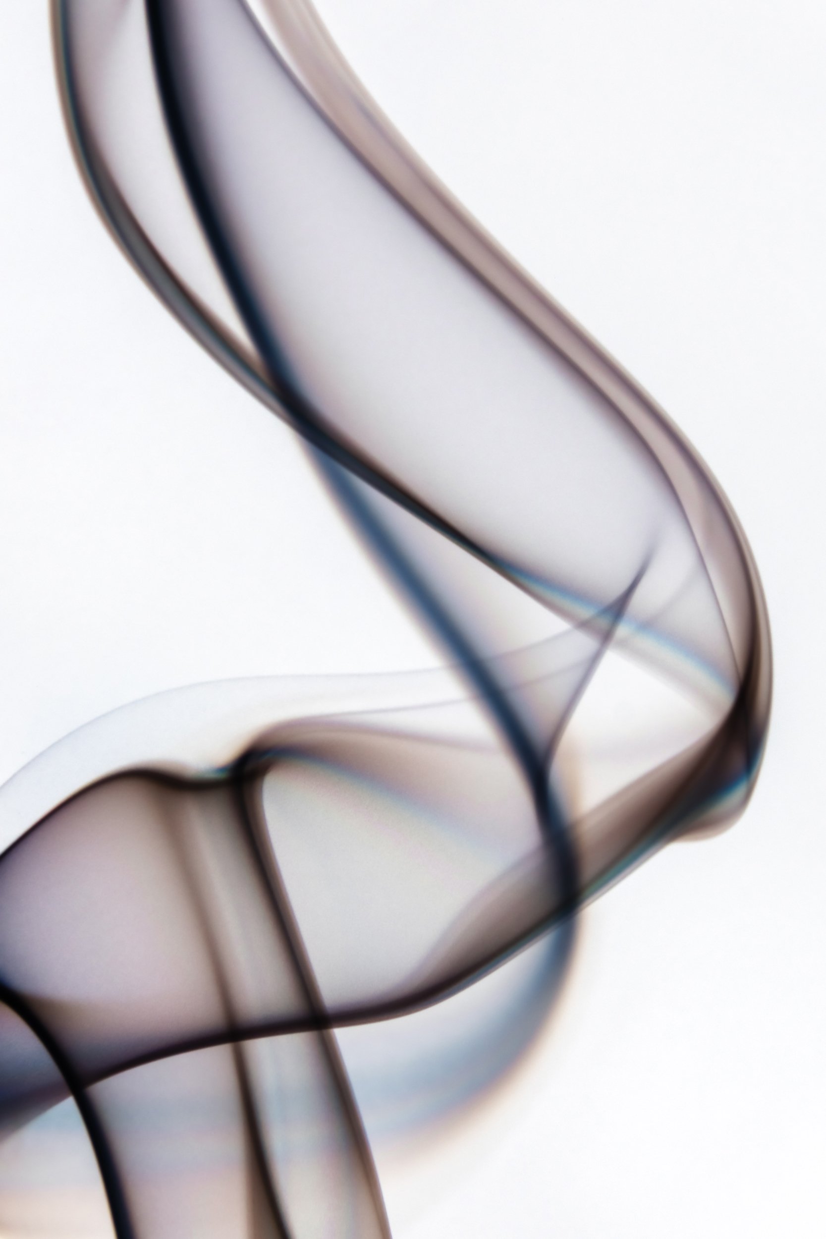 volatil-branca-macrofotografia-fine-art-3.jpg