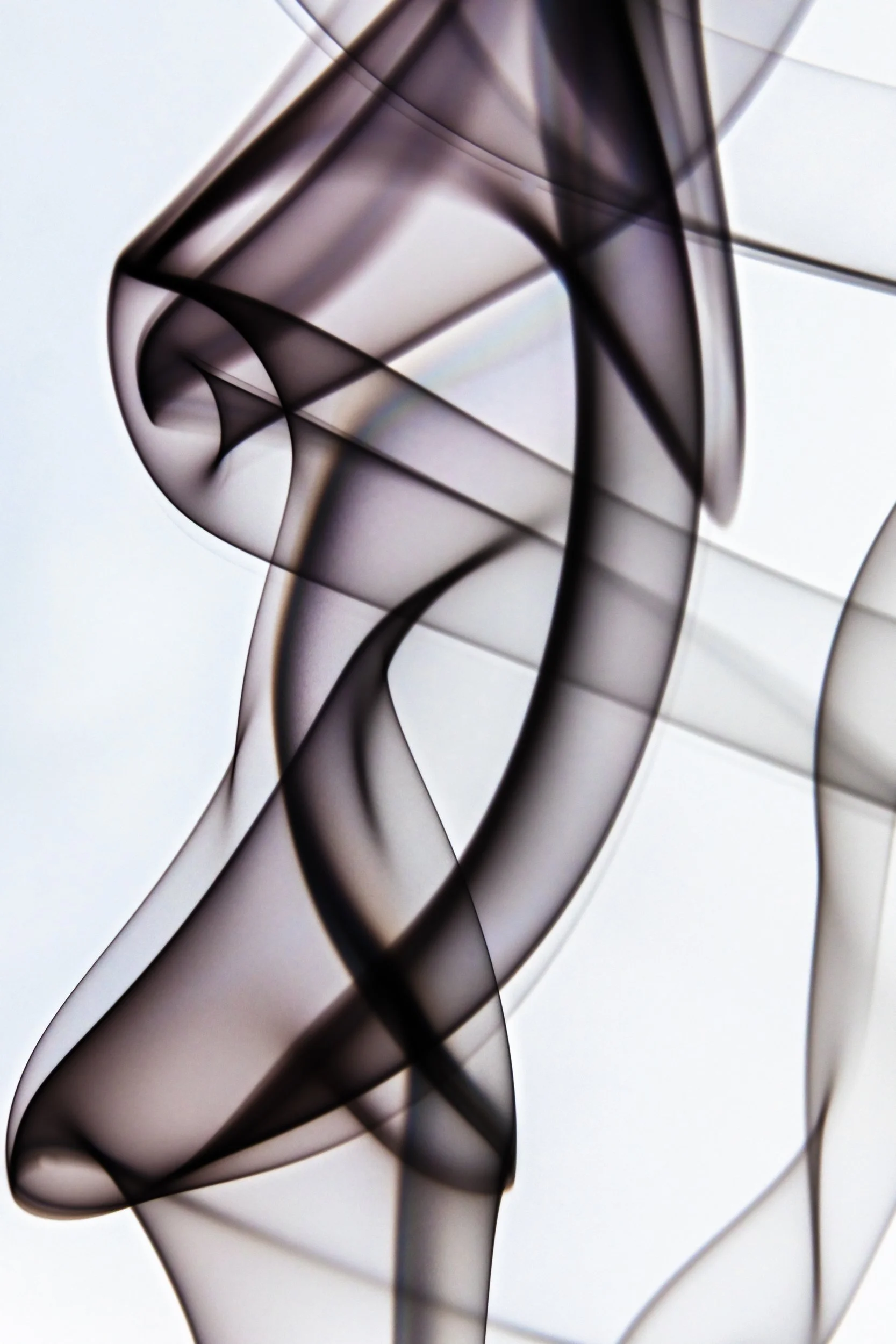 volatil-branca-macrofotografia-fine-art-13.jpg