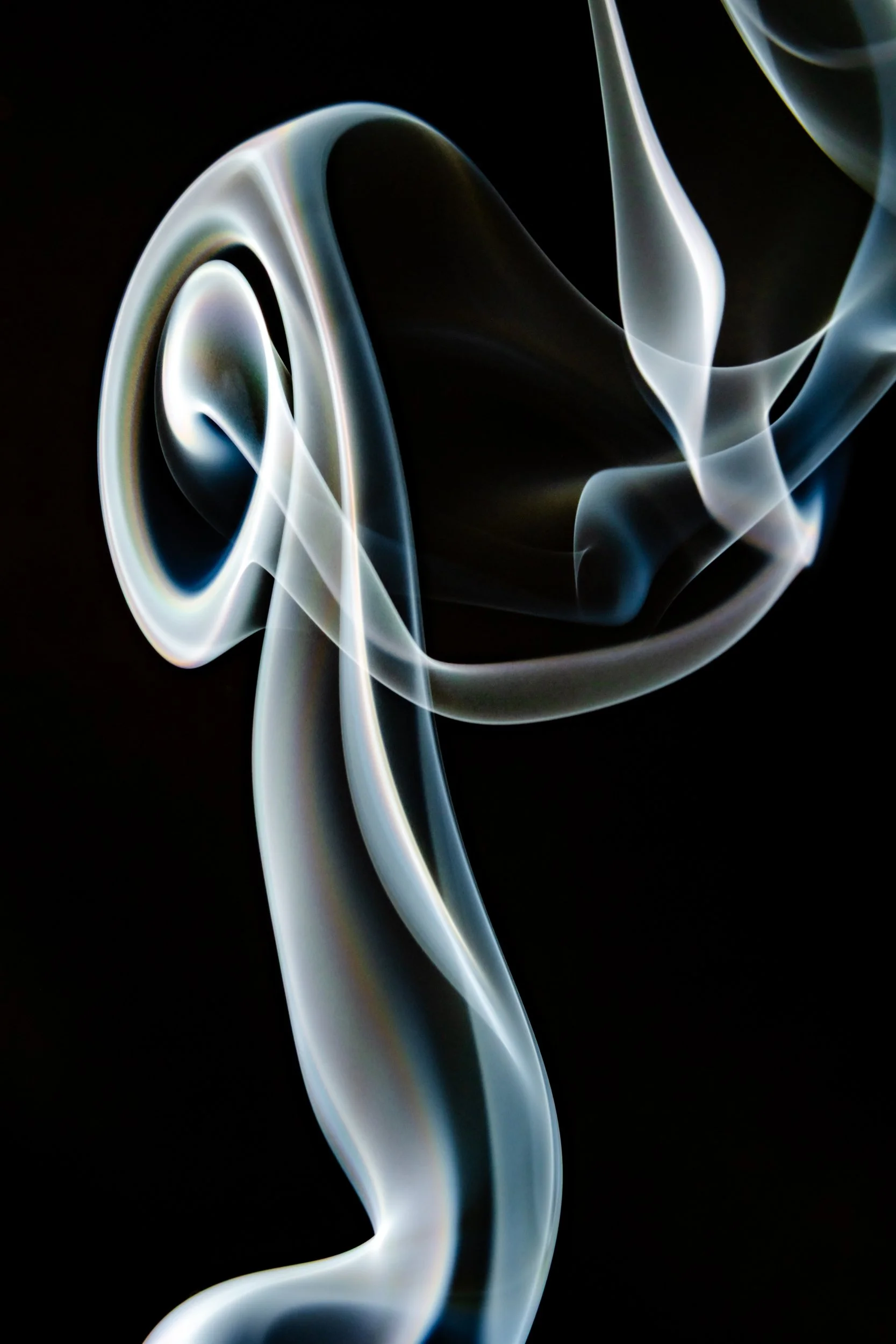 volatil-preta-macrofotografia-fine-art-5.jpg