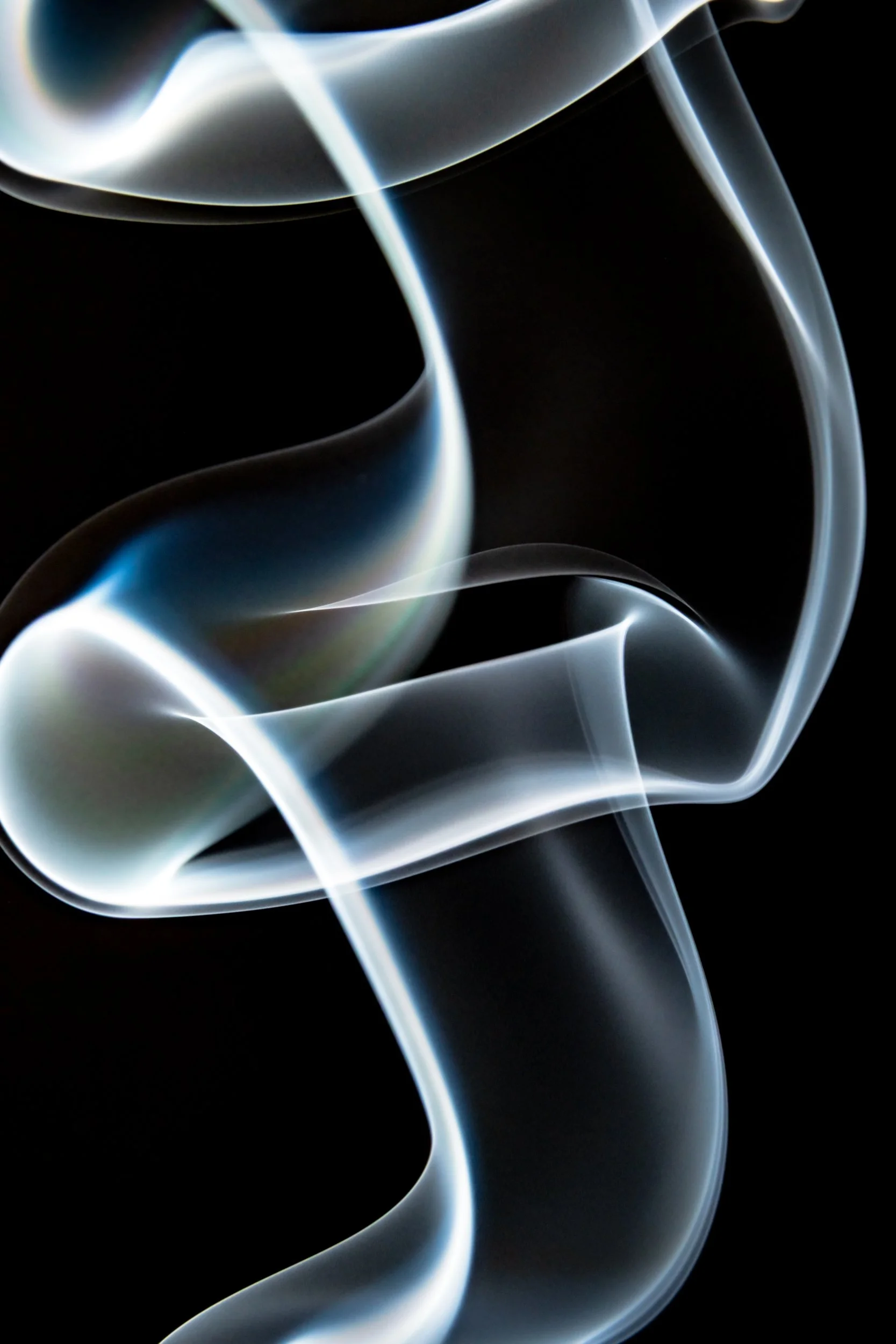 volatil-preta-macrofotografia-fine-art-11.jpg