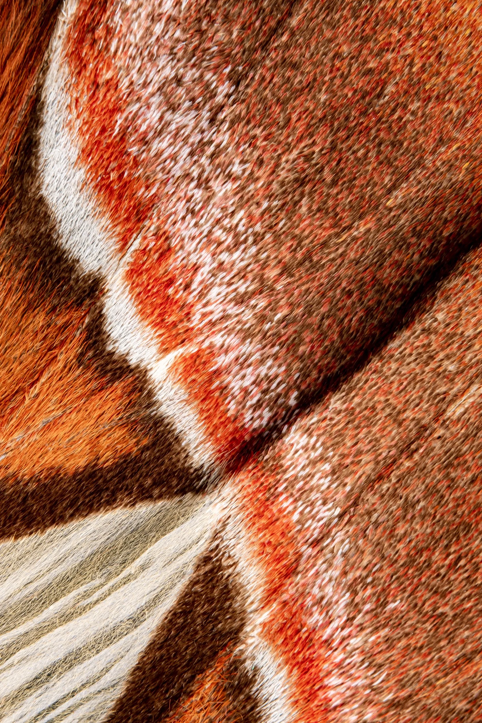 panapana-borboleta-macrofotografia-fine-art-2.jpg