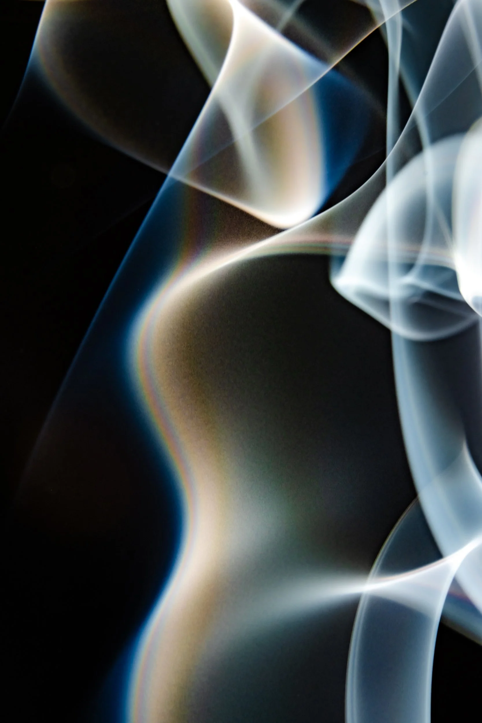 volatil-preta-macrofotografia-fine-art-2.jpg