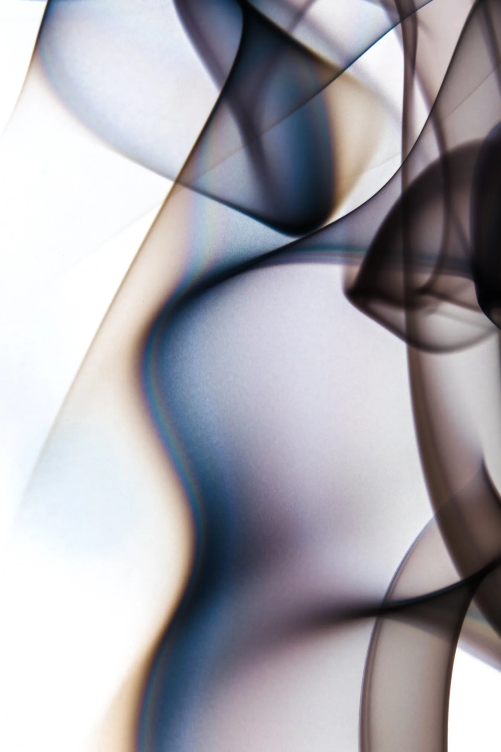 volatil-branca-macrofotografia-fine-art-2.jpg