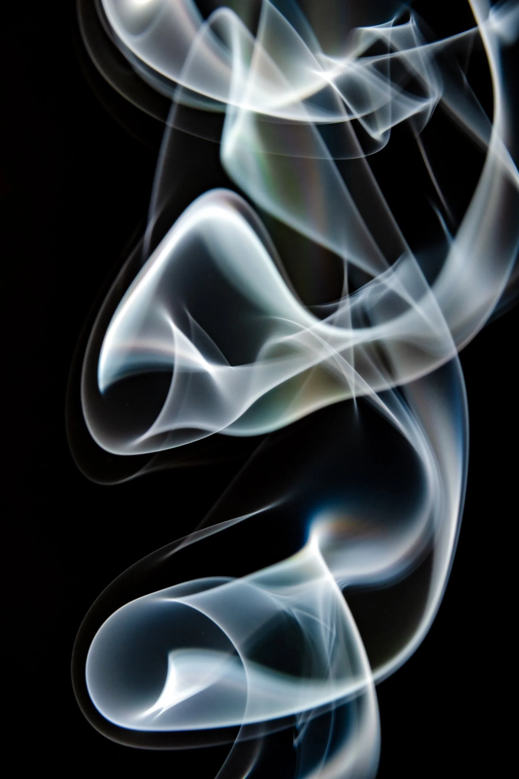 volatil-preta-macrofotografia-fine-art-10.jpg