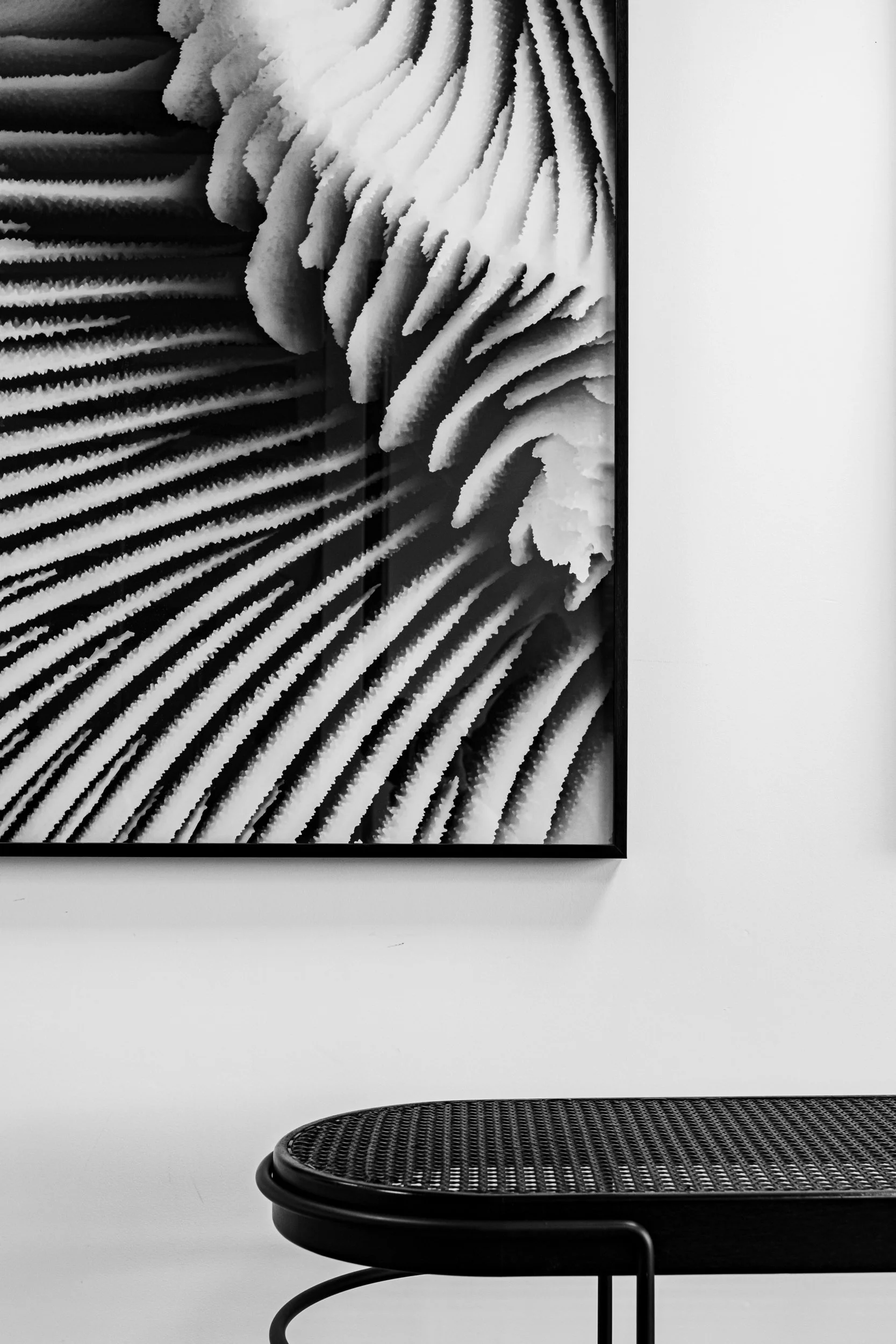 Obras fine art de Bruno Militelli aplicado em projeto de decoração — fotografia macro em hall de entrada
