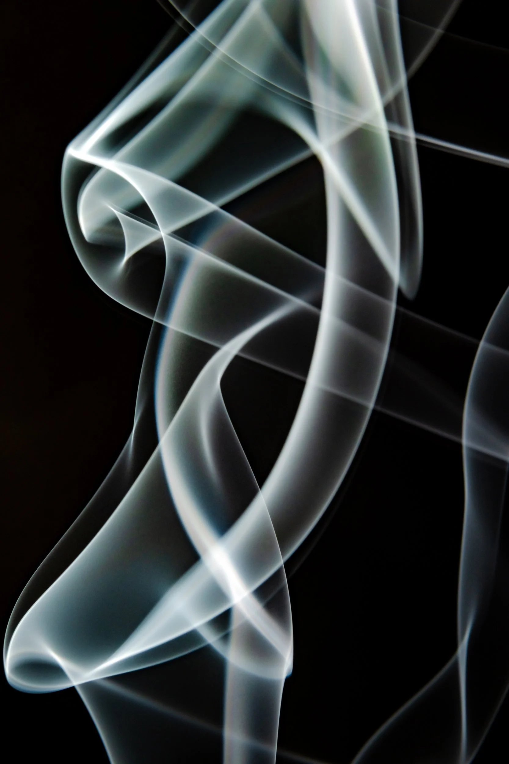 volatil-preta-macrofotografia-fine-art-13.jpg
