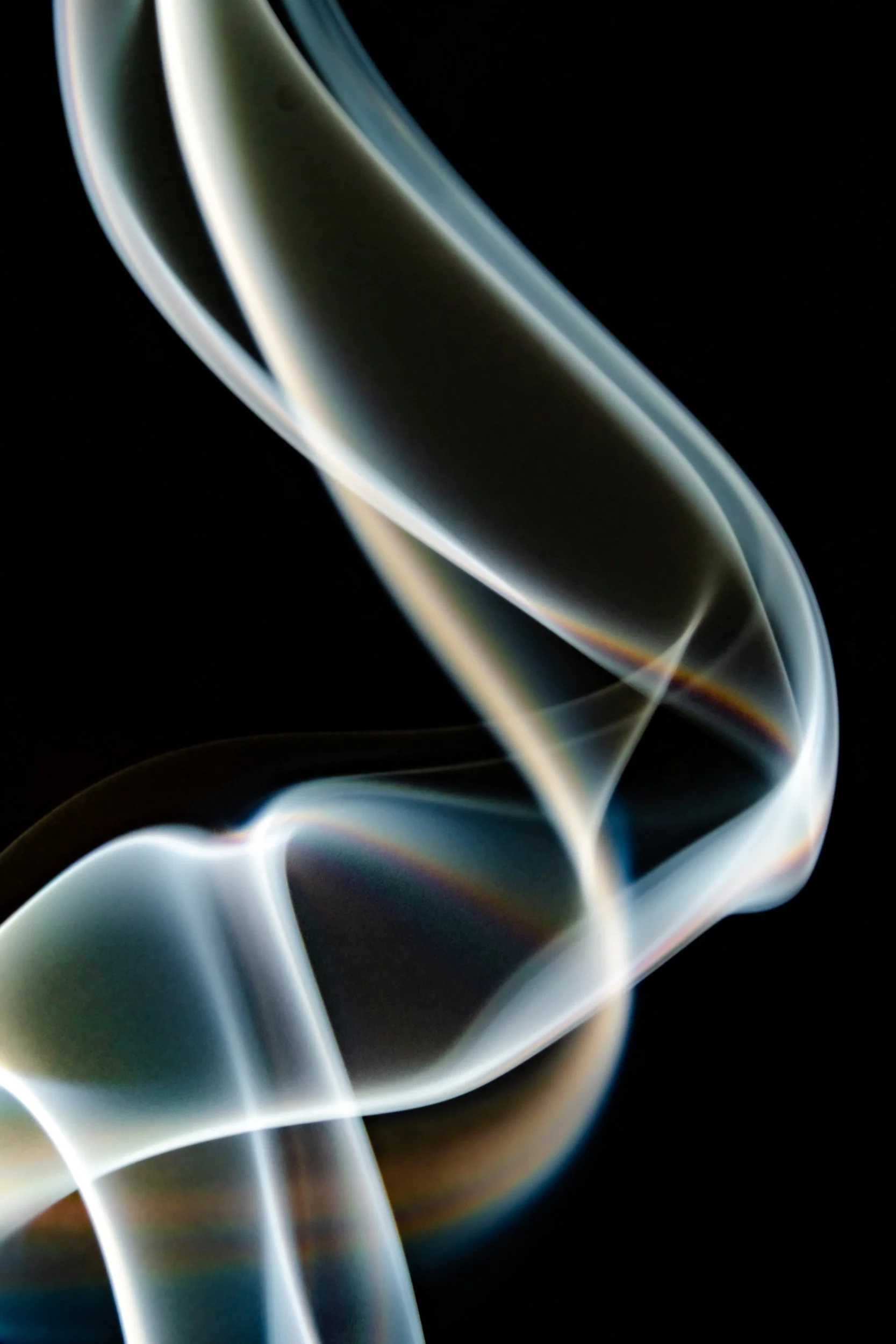 volatil-preta-macrofotografia-fine-art-3.jpg