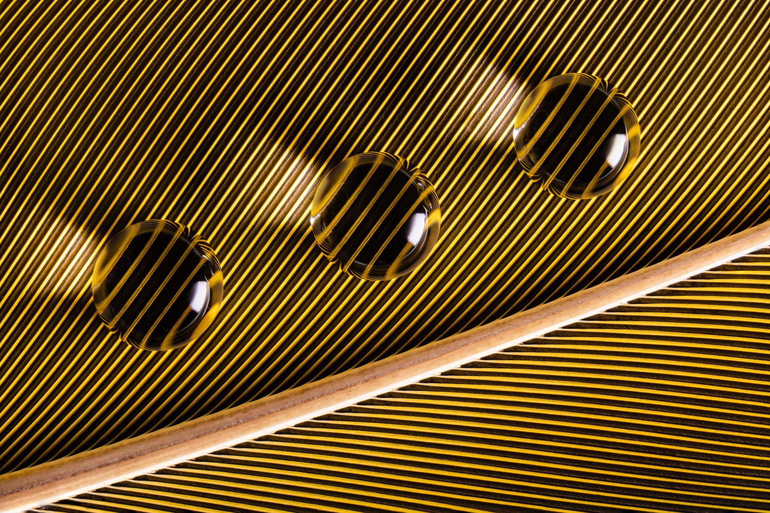 hidrofobico-penas-macrofotografia-fine-art-19.jpg