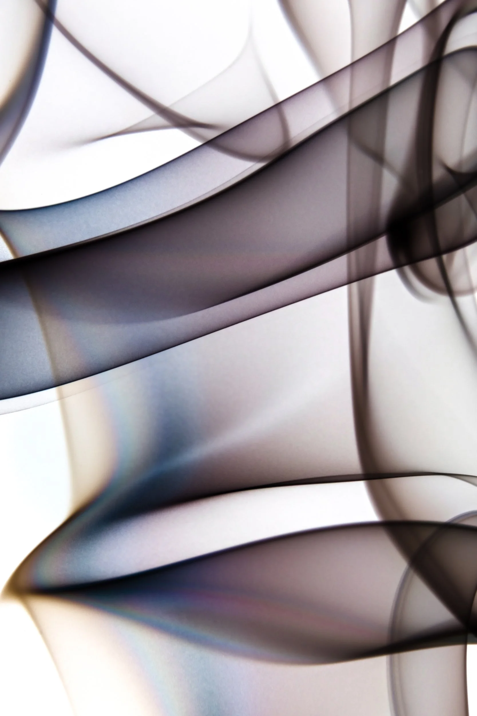 volatil-branca-macrofotografia-fine-art-1.jpg