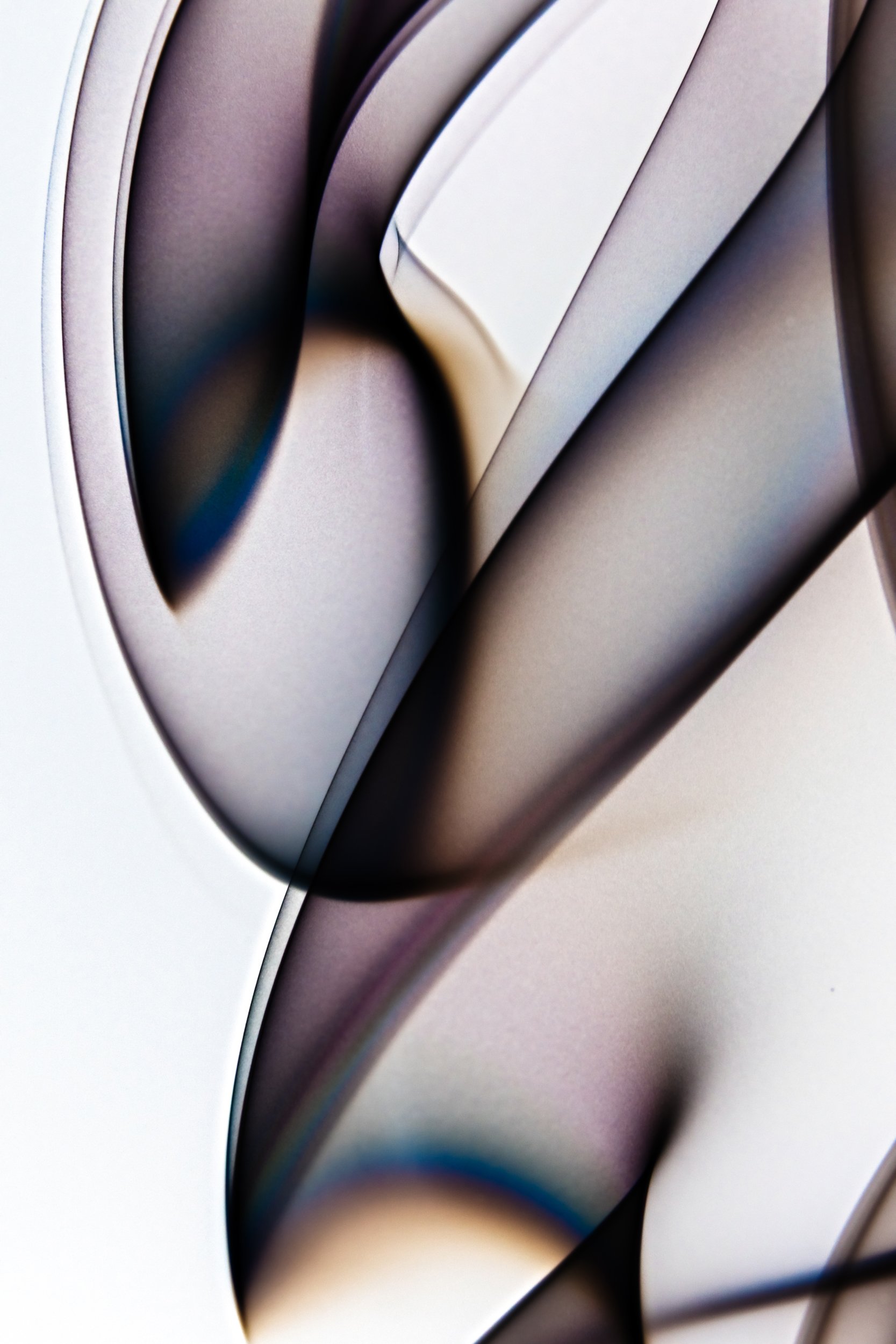 volatil-branca-macrofotografia-fine-art-14.jpg
