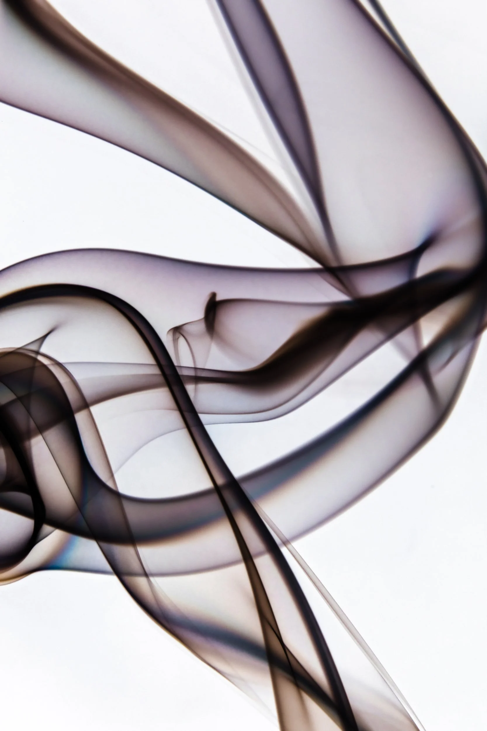 volatil-branca-macrofotografia-fine-art-6.jpg