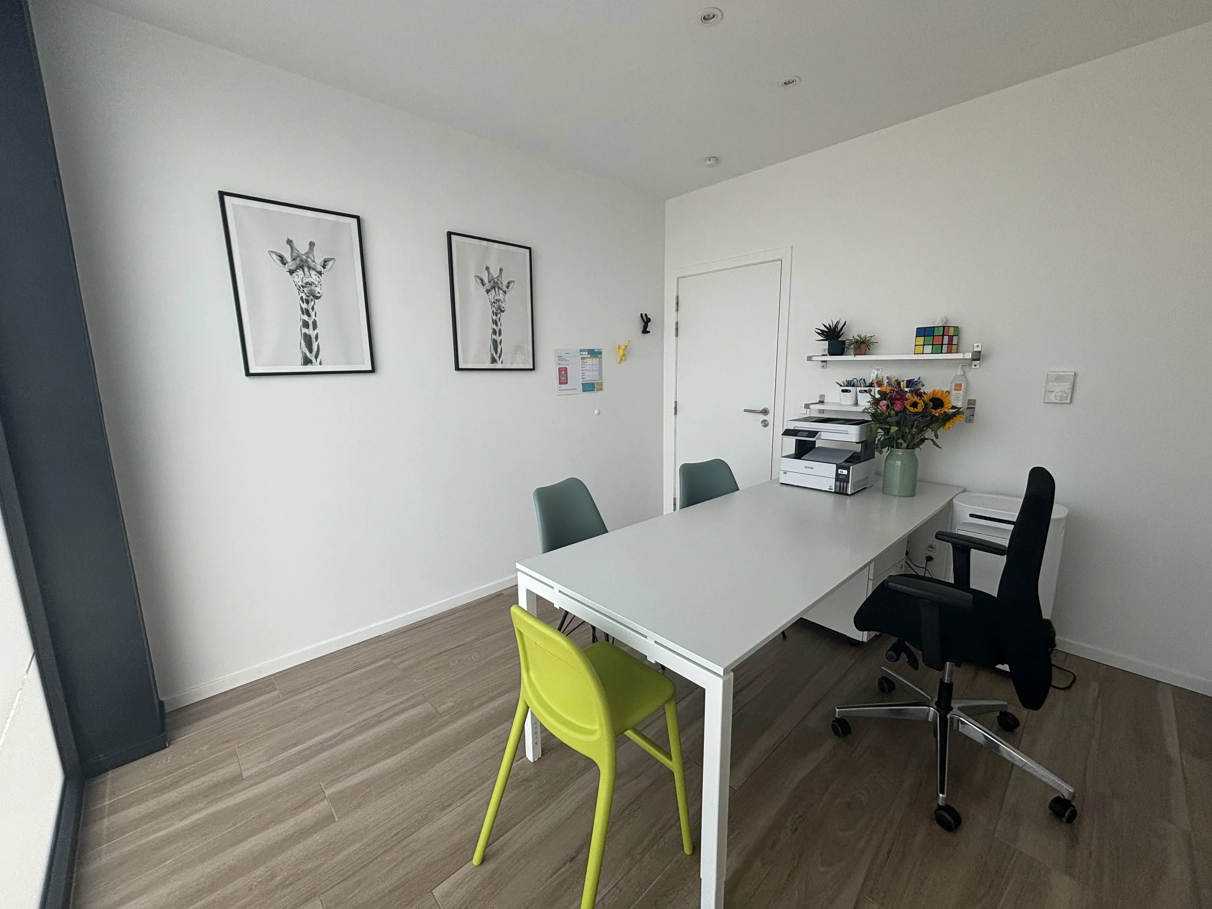 Office or meeting room with a white table and four chairs, one green, one black, and one gray. Wall decorations include two framed giraffe illustrations, some small bunny-shaped decorations, and a shelf with plants, a Rubik's Cube, and office supplie