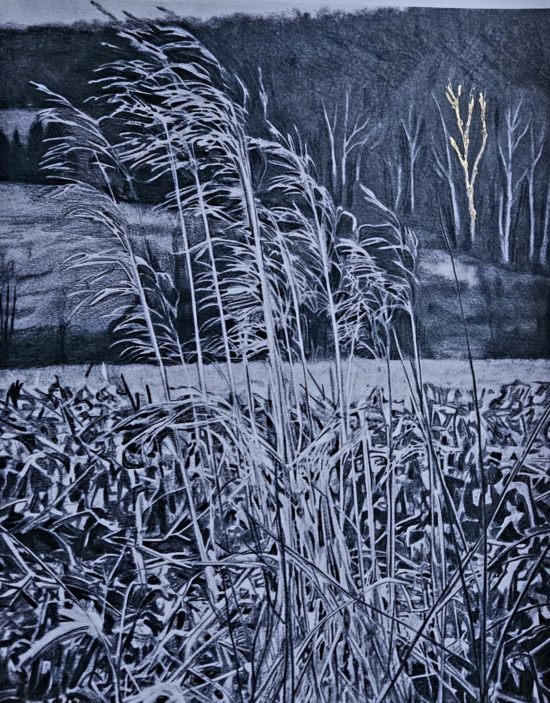 The Fields of Central Pennsylvania  11x14
