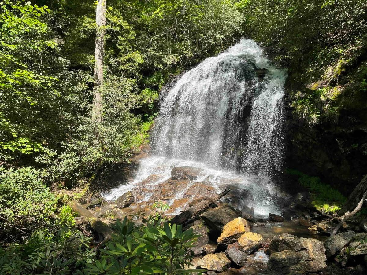 A waterfall flowing over rocks surrounded by dense green trees and foliage