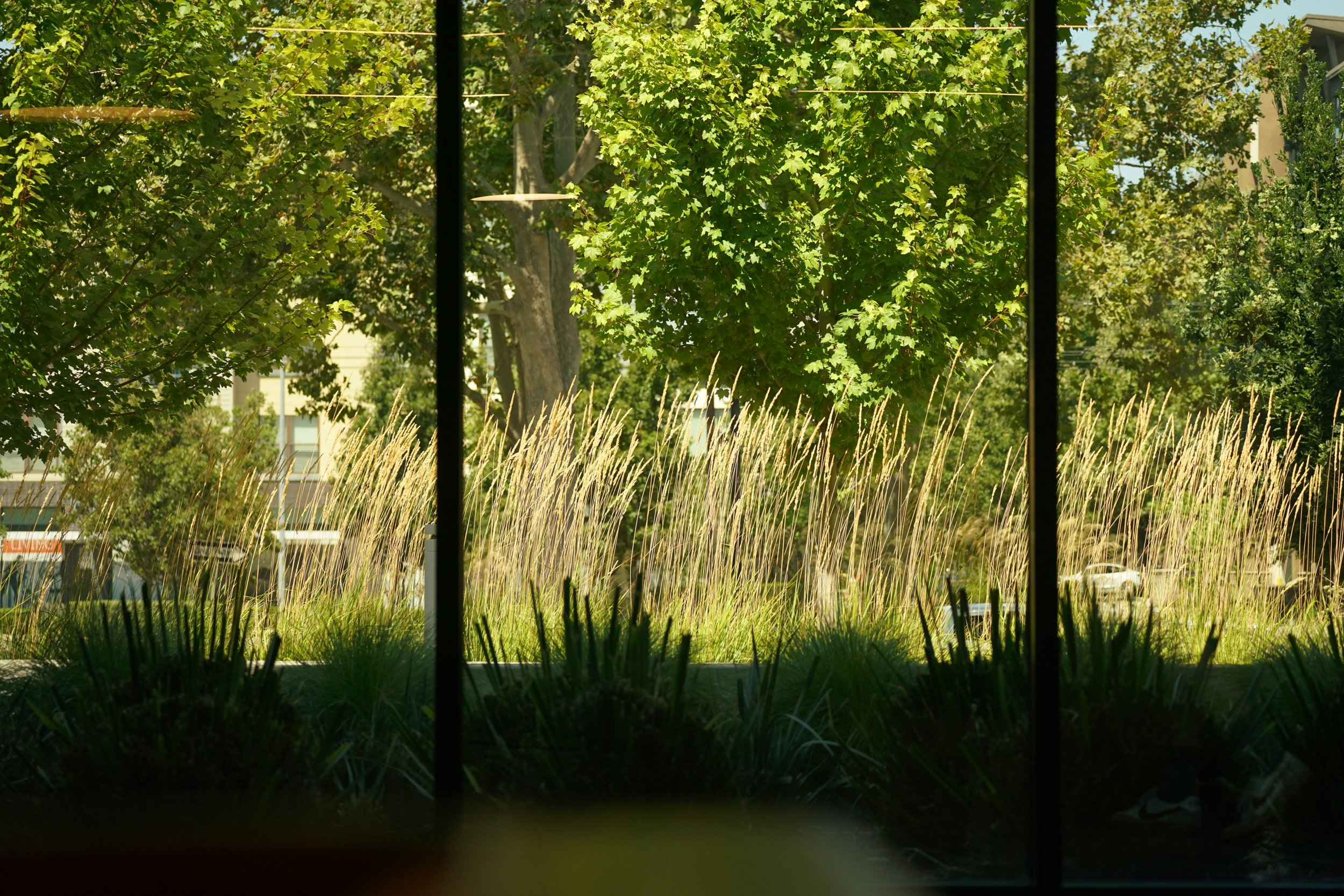 are & are Landscape Design Studio