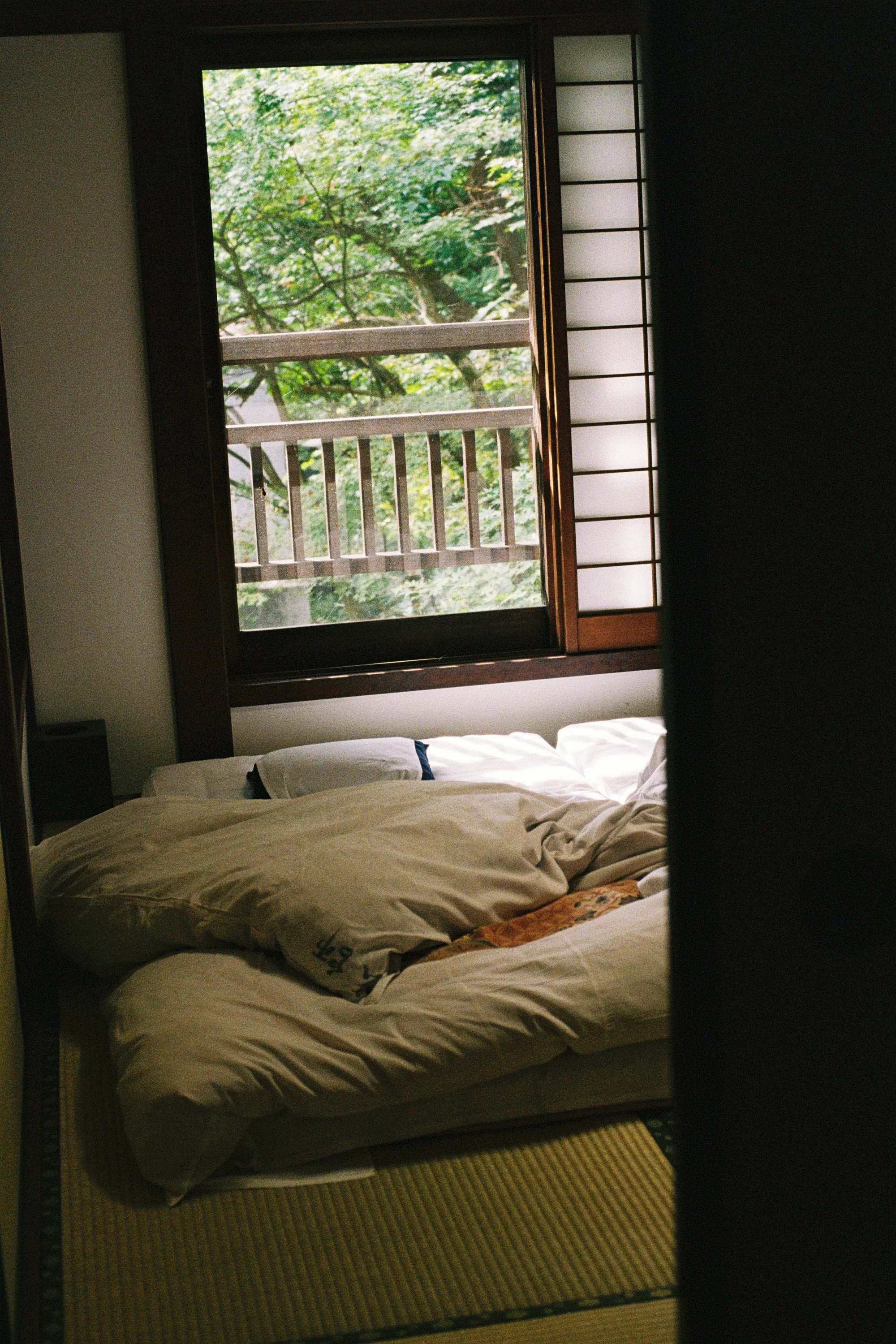 A bedroom with an unmade bed, a window with open wooden shutters showing green trees outside, and a rug on the floor.