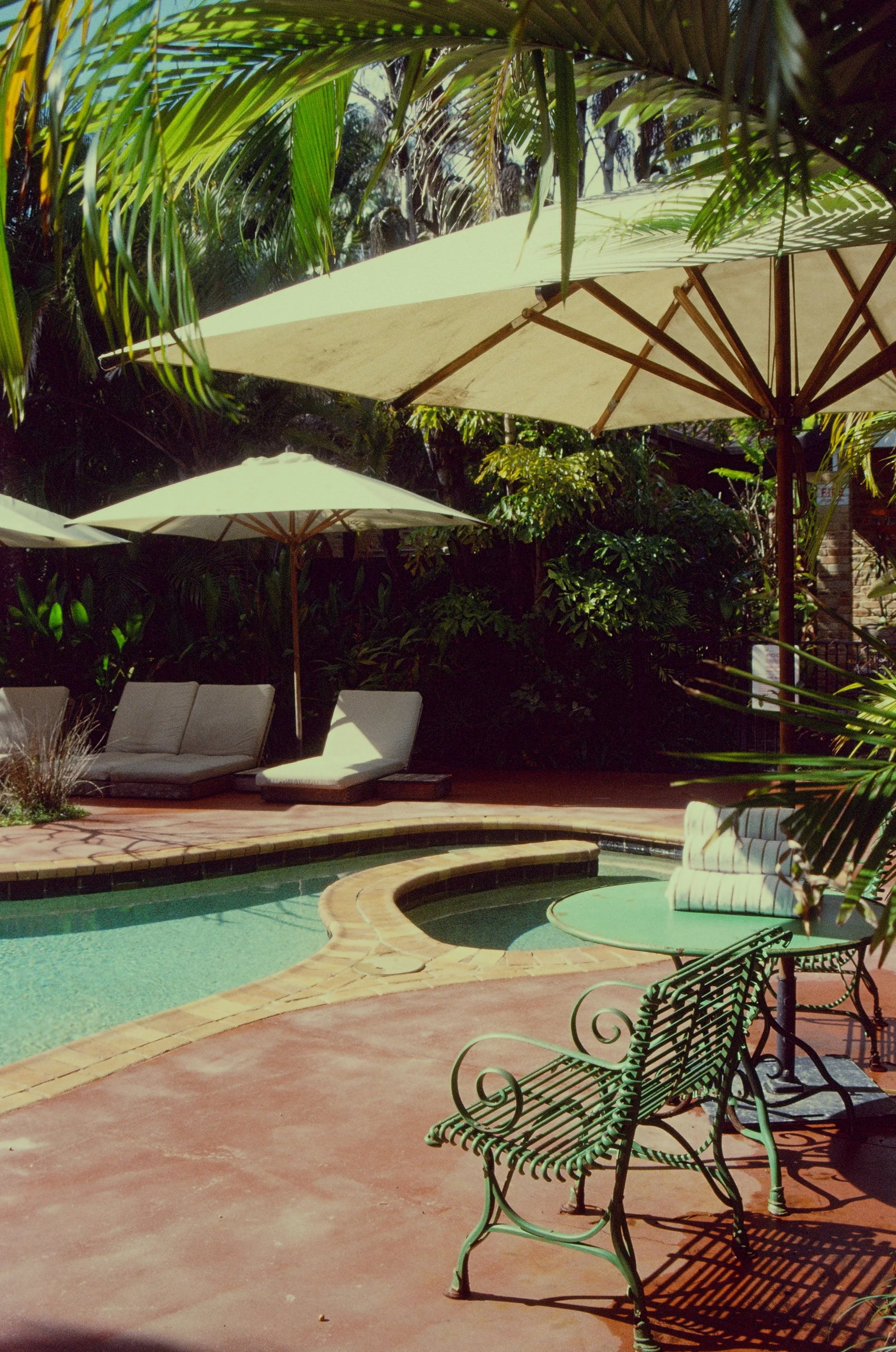 View of a backyard swimming pool area with lounging chairs, umbrellas, and lush tropical greenery.