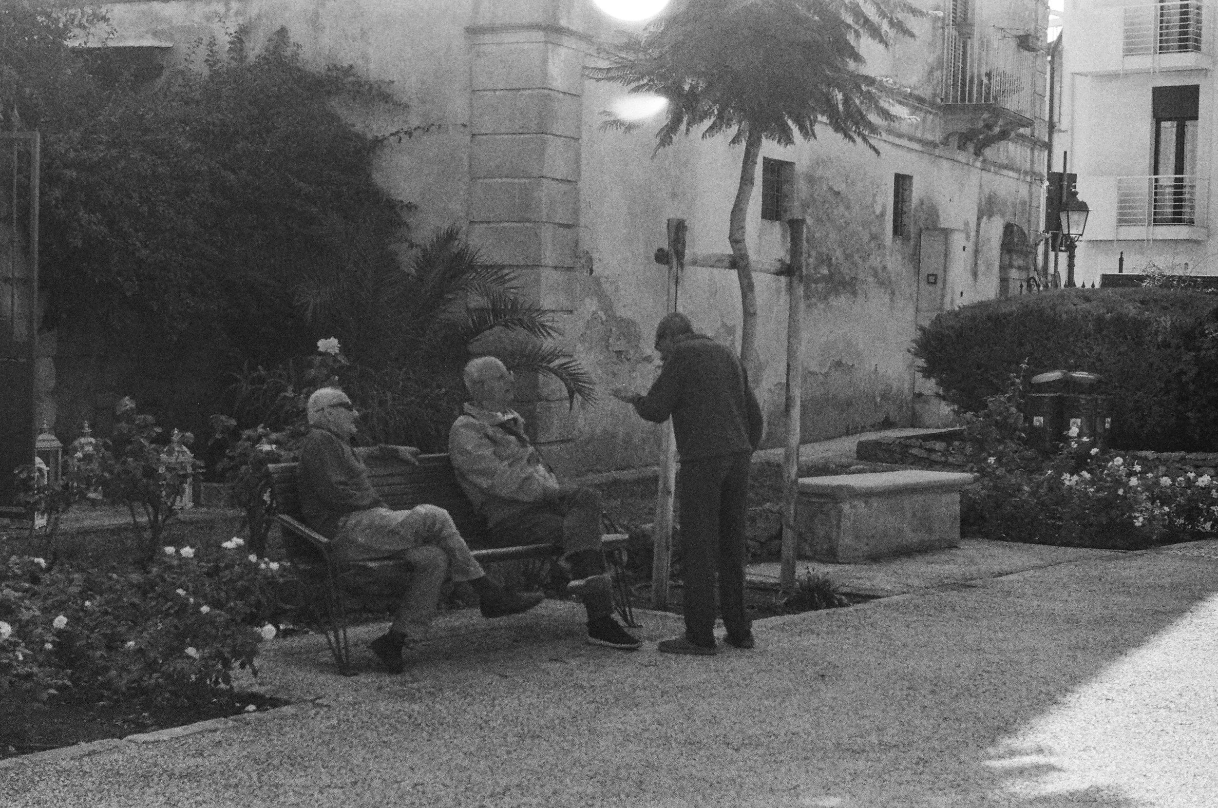 A group of people sitting on park benches, some engaged in conversation, with a person standing nearby. There are trees, shrubs, a lamp post, and an older building with windows in the background.