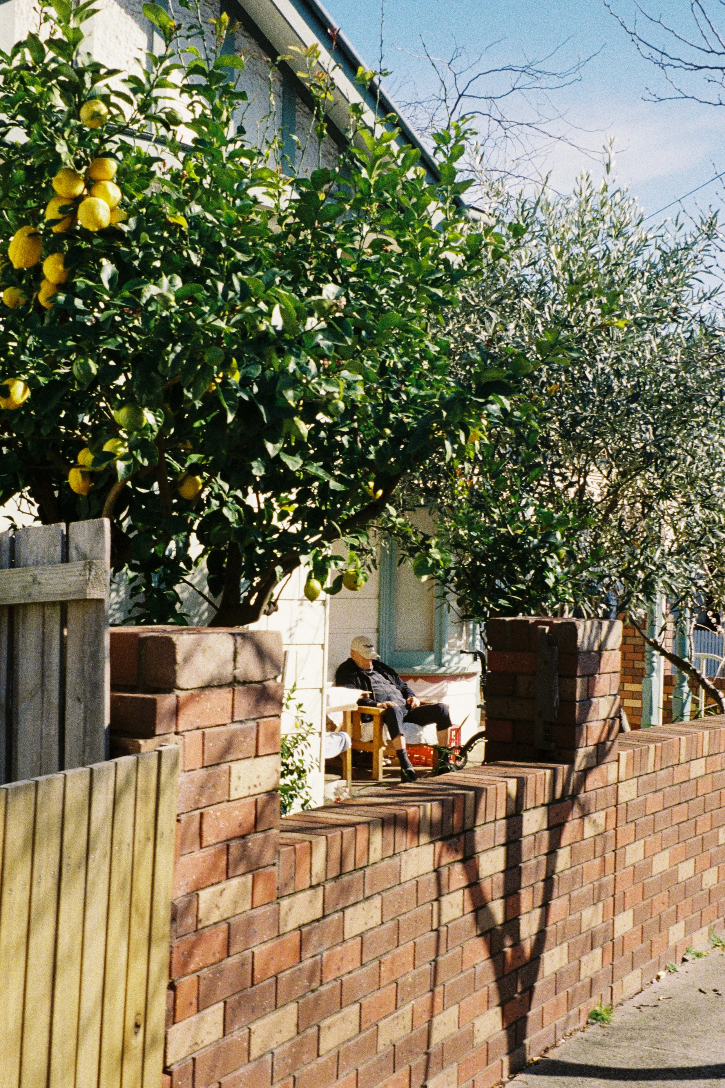 A person wearing a hat and sunglasses sitting on a white bench next to a brick wall, with large green trees and a house in the background.