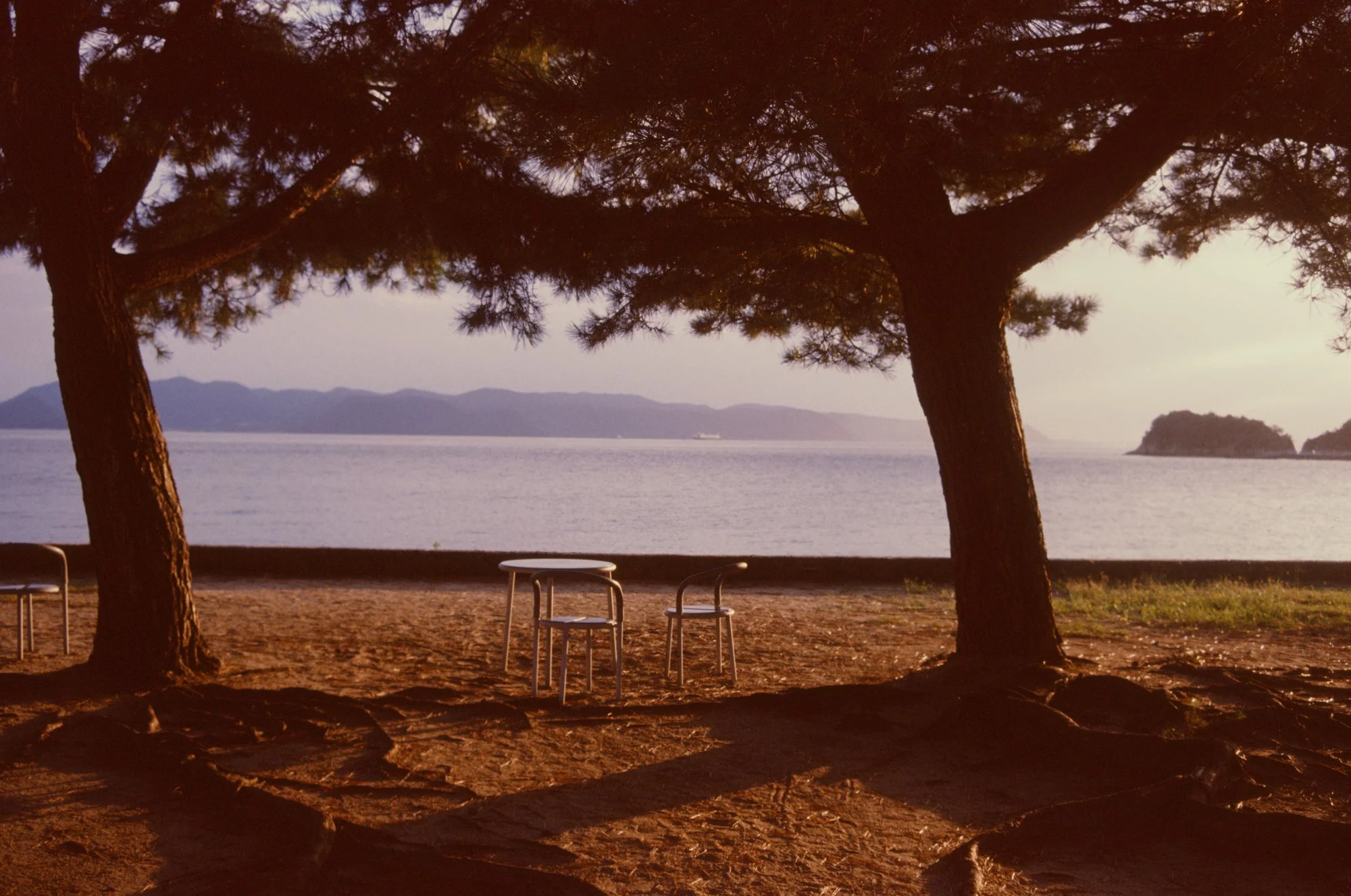 Beach scene at sunset with two large trees in the foreground, multiple chairs, and a view of water and islands in the distance.
