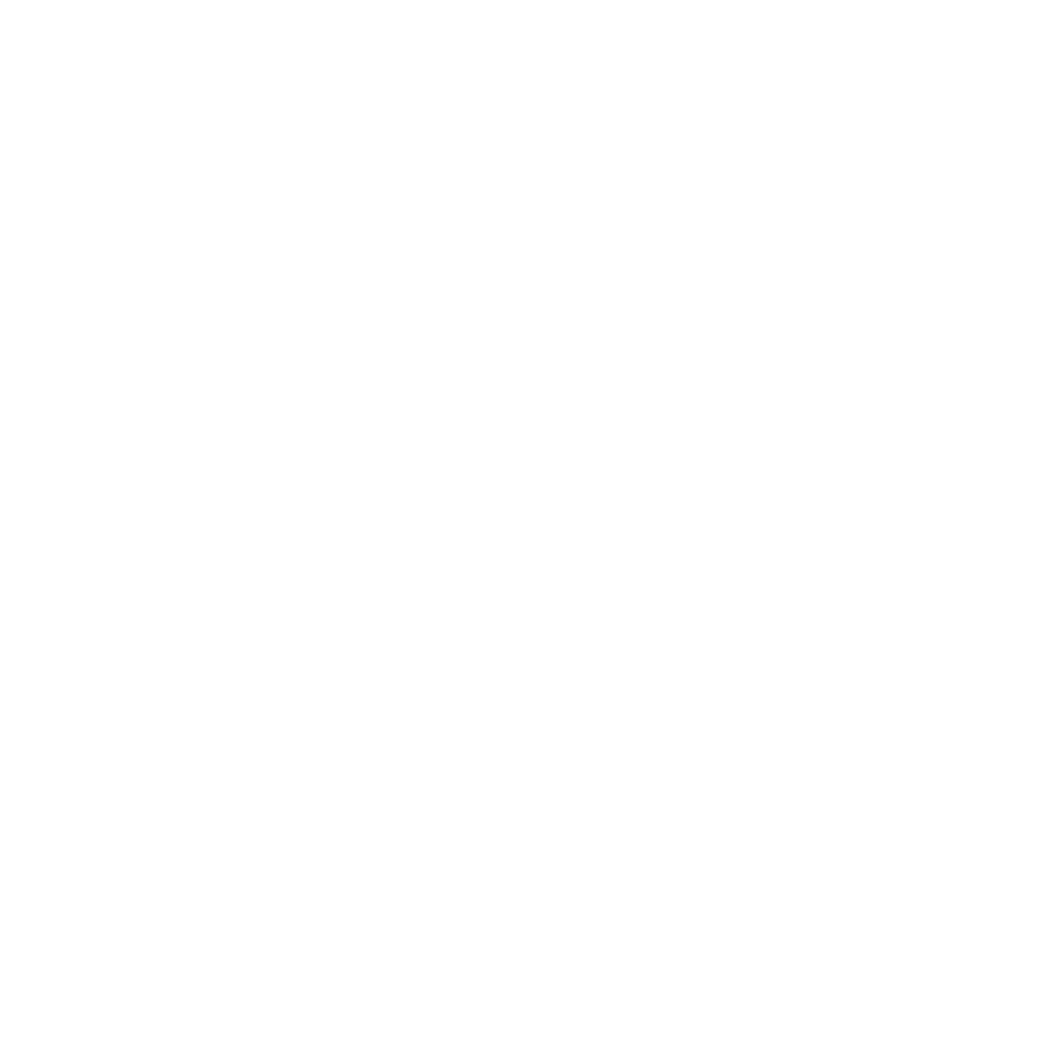 STRAY DOGS 