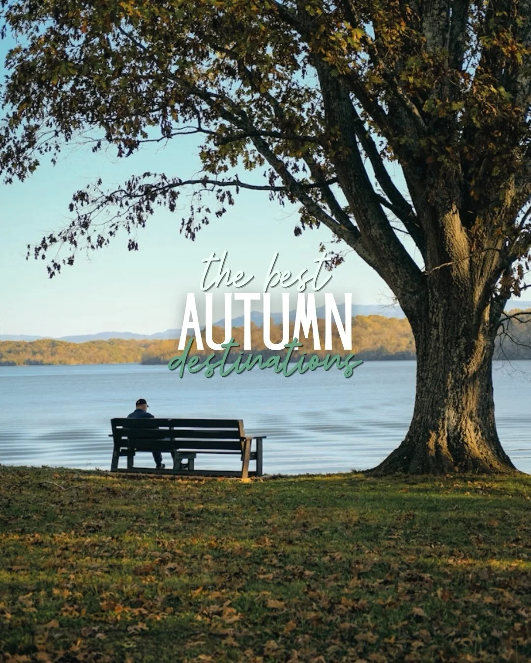 Here are our top four best destination spots for this autumn!🍂✨ 

- Scotland 🏴󠁧󠁢󠁳󠁣󠁴󠁿 
- Croatia 🇭🇷 
- Belgium 🇧🇪 
- Denmark 🇩🇰 

What do you think of these recommendations? 🌙✈️ 

#AutumnVibes #AutumnTravel #TravelEurope #travelgram