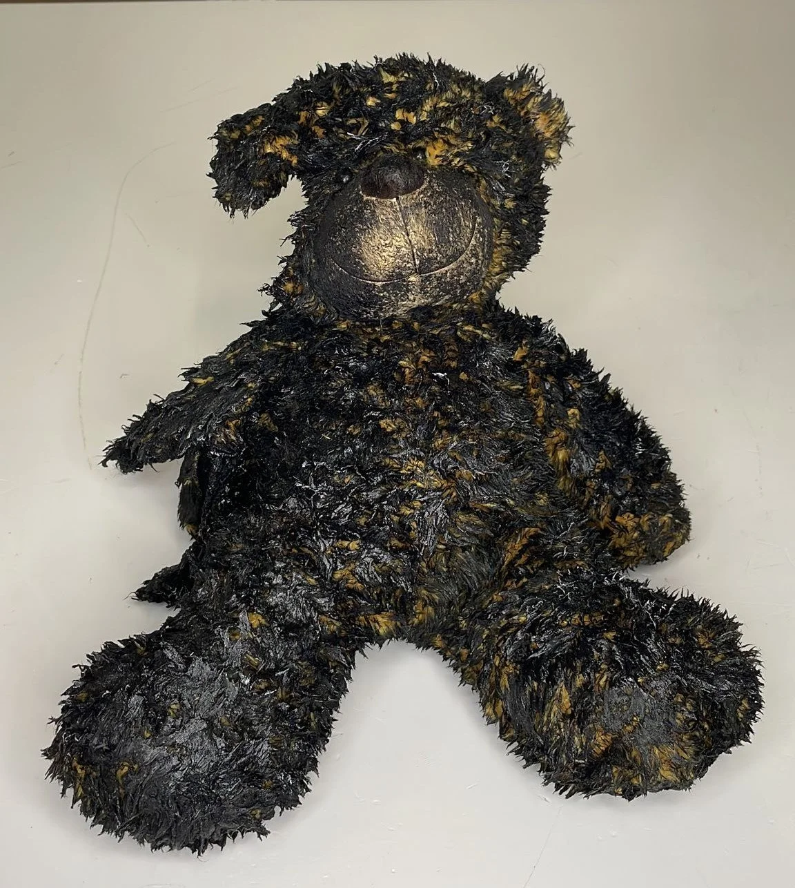 2_22 bear 1.jpg