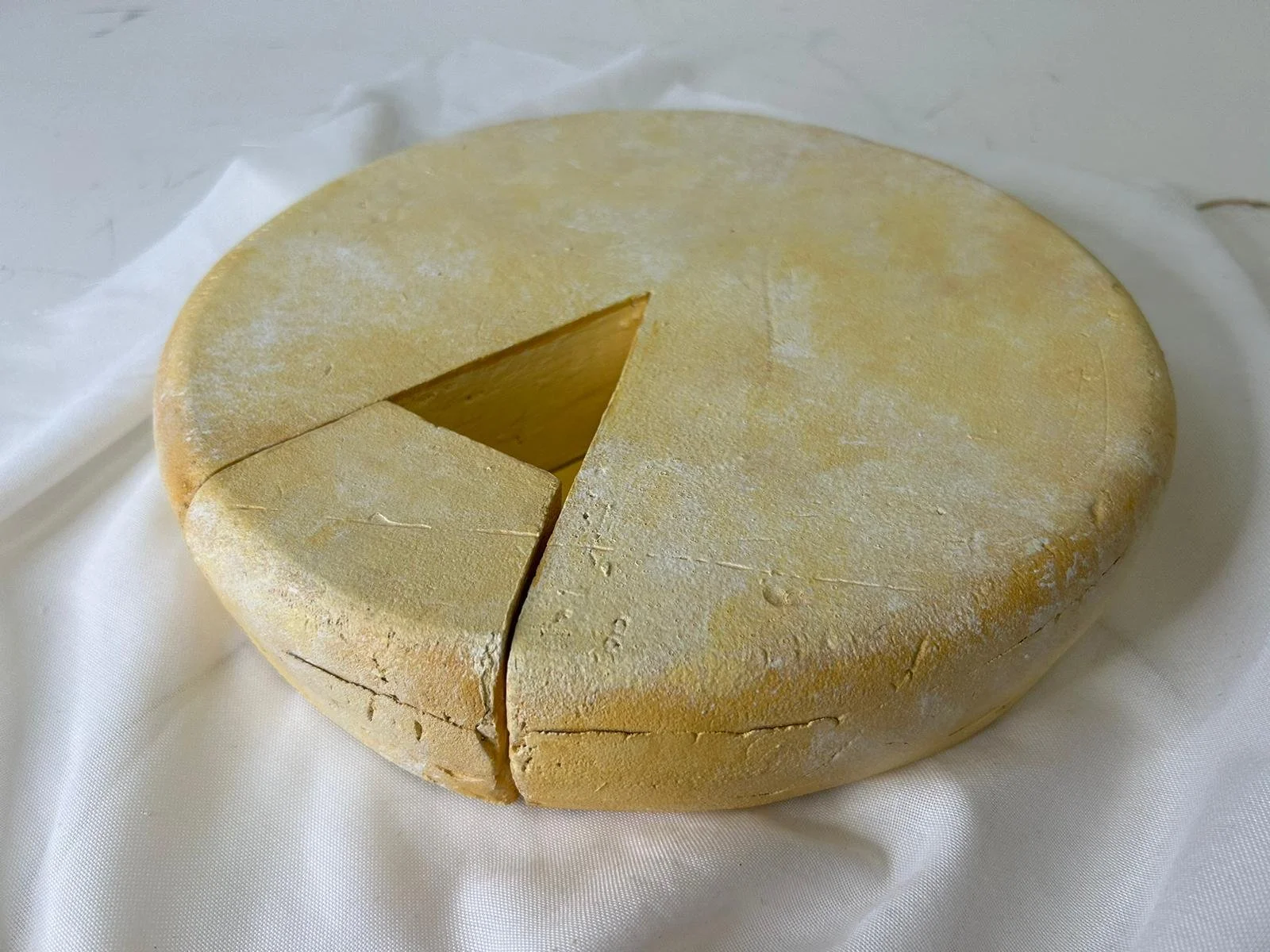 fiddler cheese 1.JPG